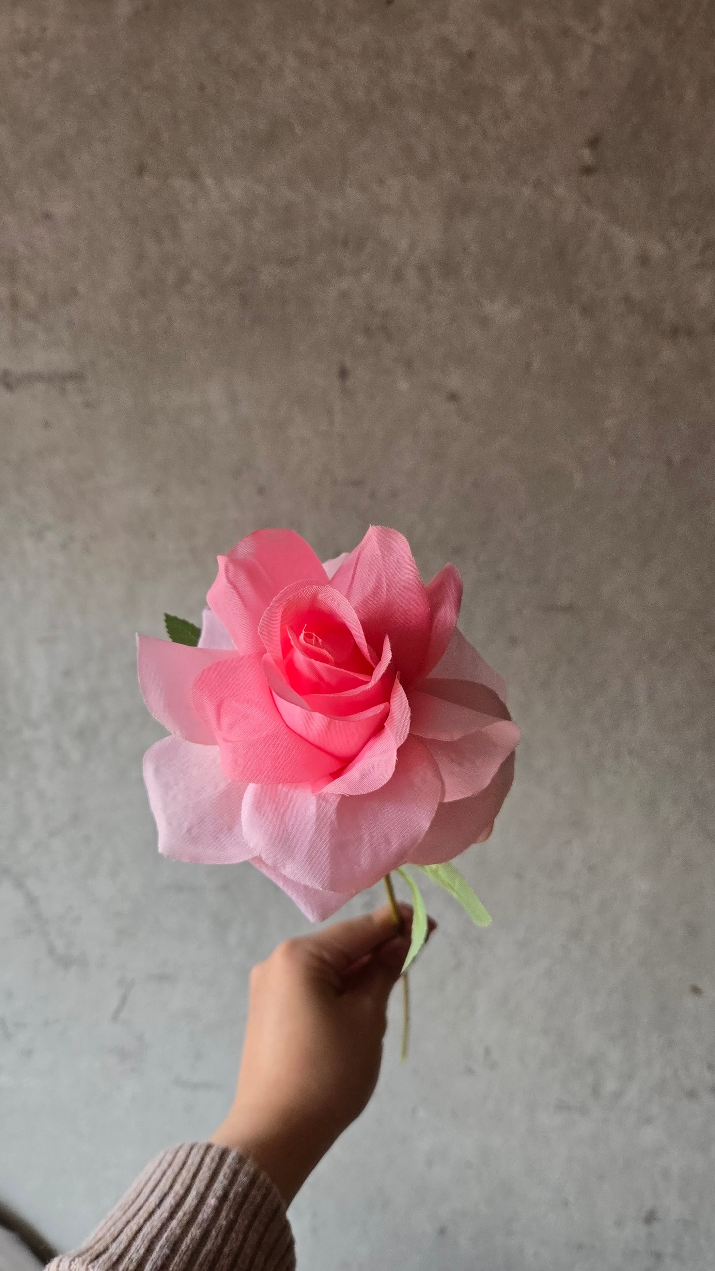 Silk Rose Single Stem (15 Colours)