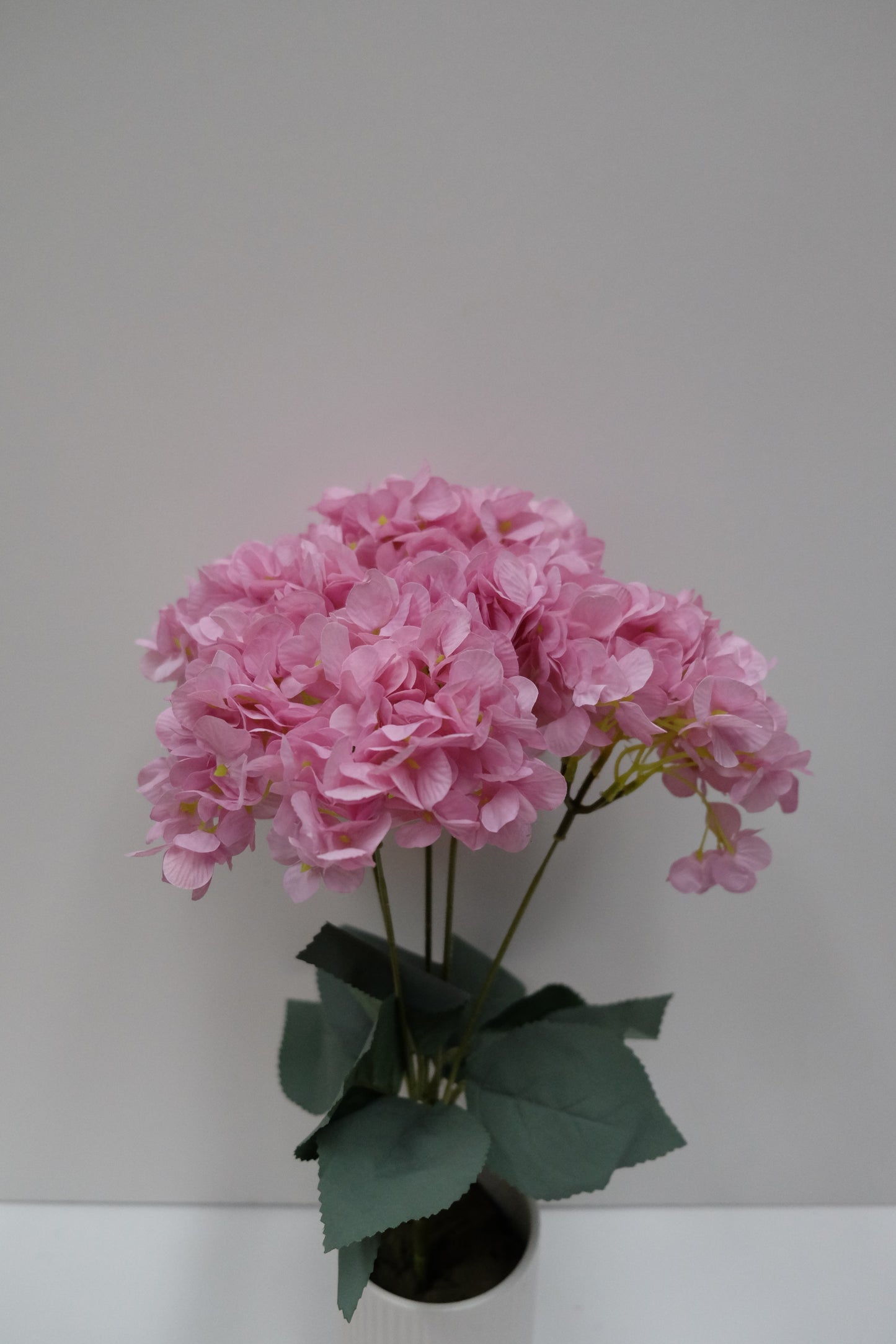 Premium Hydrangea Bunch (12 Colours)