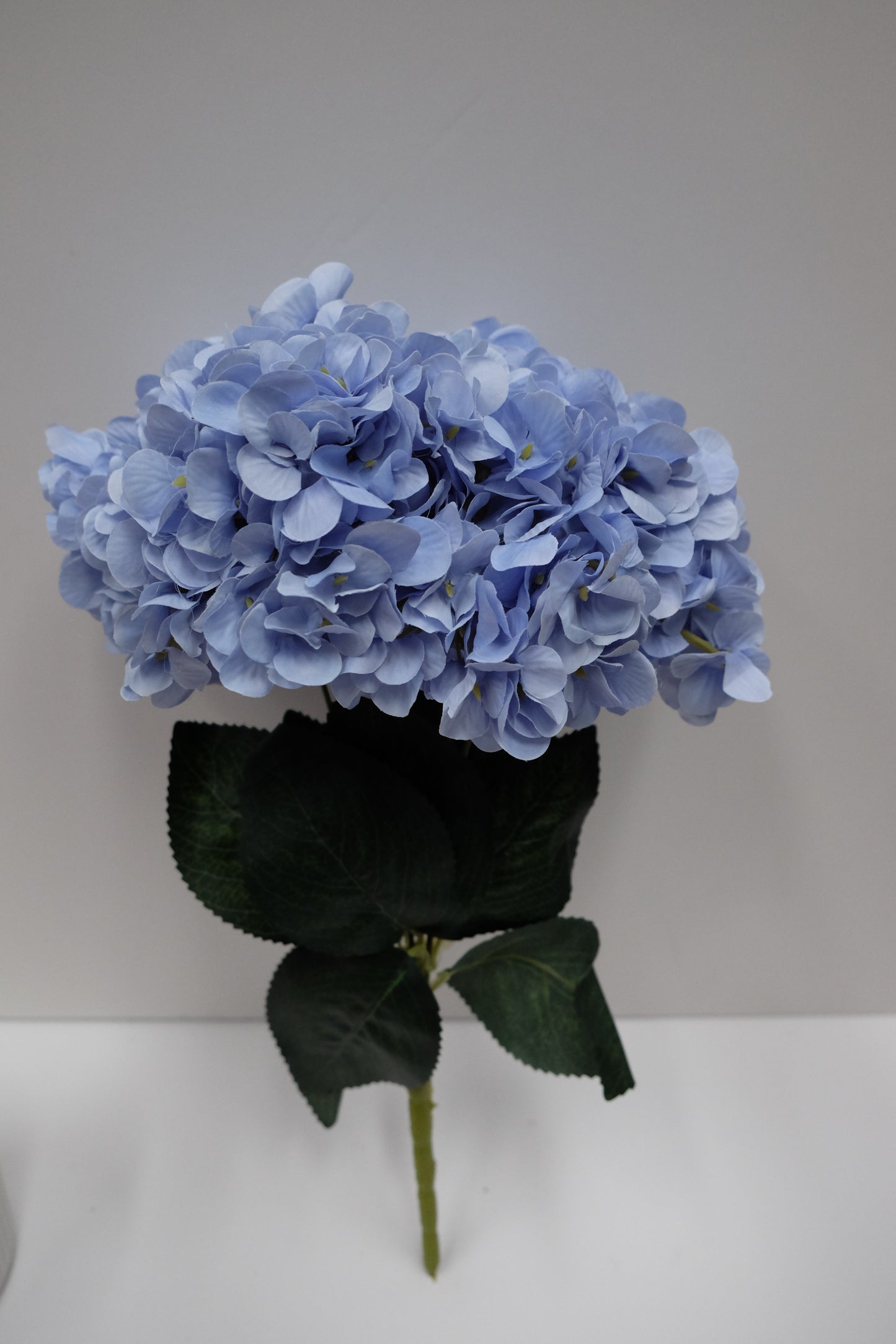 Premium Hydrangea Bunch (12 Colours)