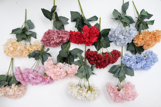 Premium Hydrangea Bunch (12 Colours)