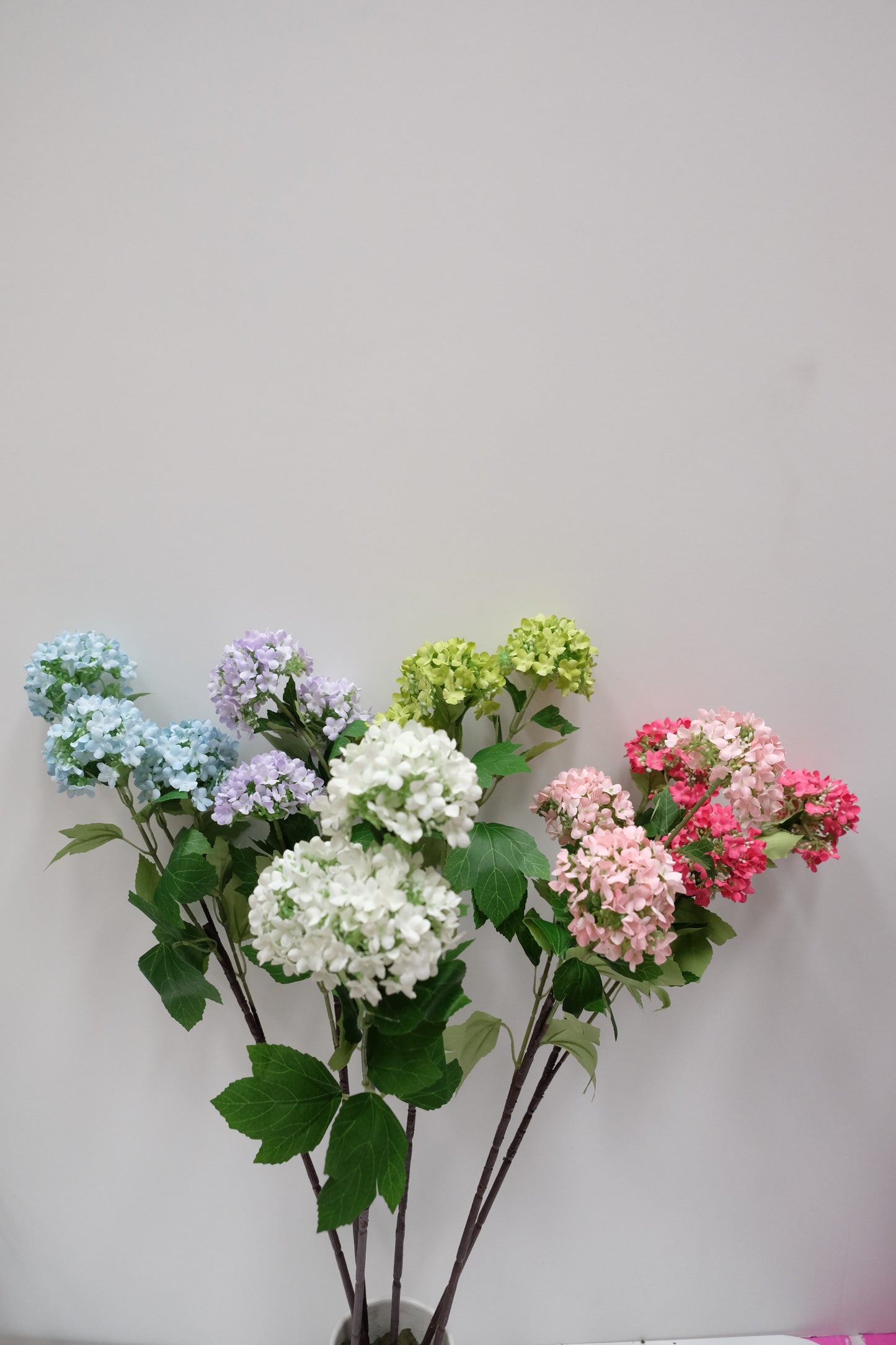 3H Snowball Hydrangea