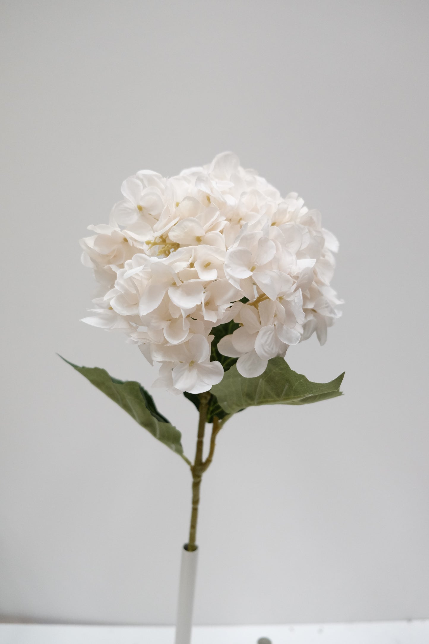 Single Stem Silk Hydrangea (7 Colours)