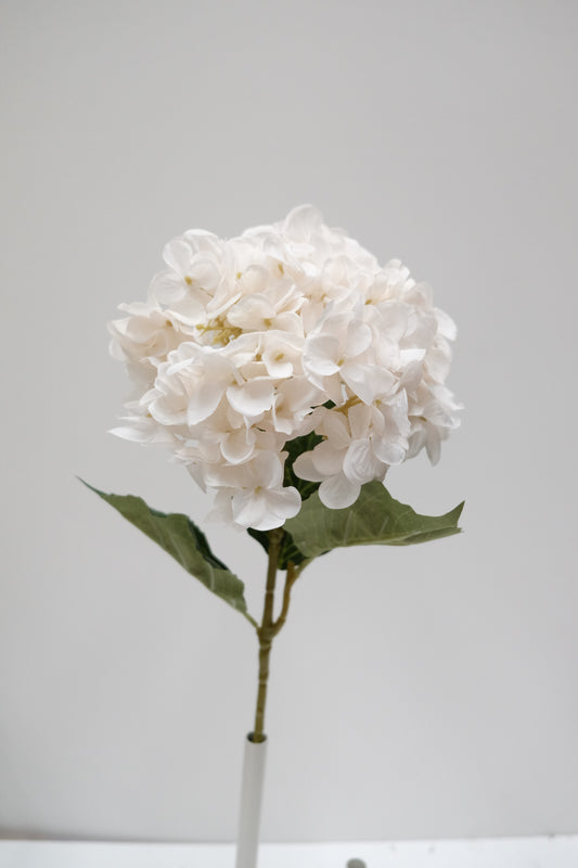 Single Stem Silk Hydrangea (7 Colours)