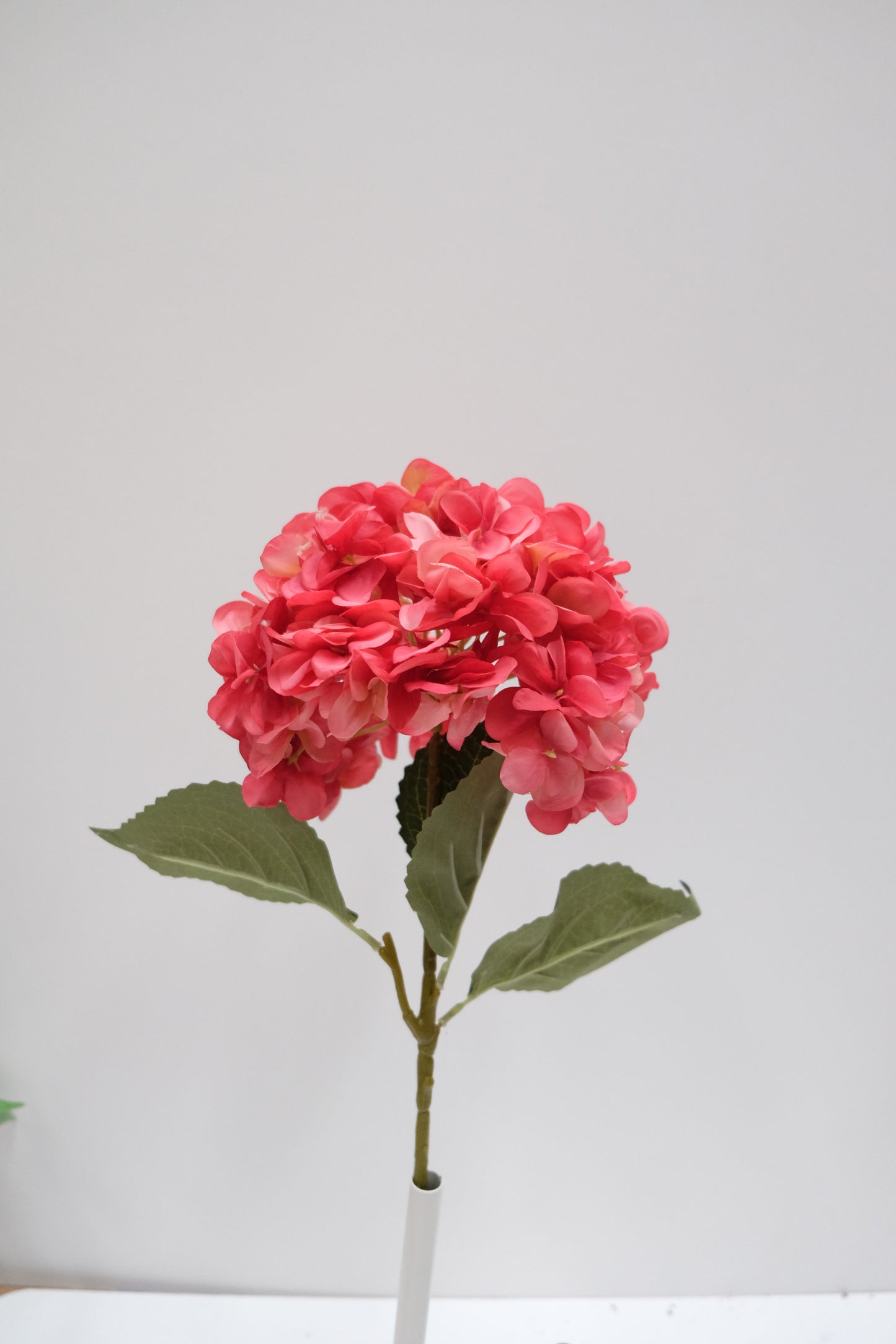 Single Stem Silk Hydrangea (7 Colours)