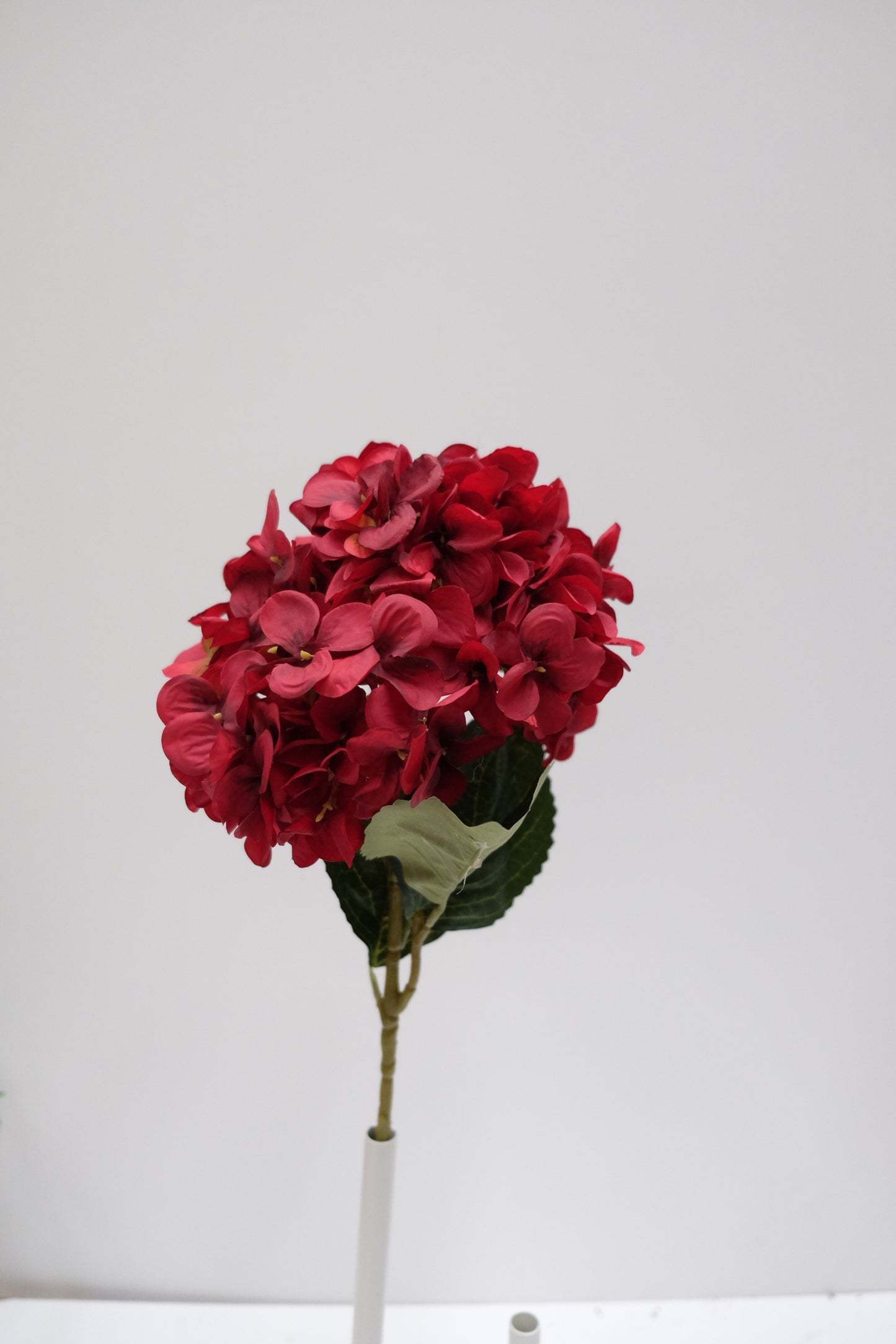 Single Stem Silk Hydrangea (7 Colours)