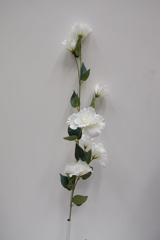 Lisianthus Stem (8 Colours)