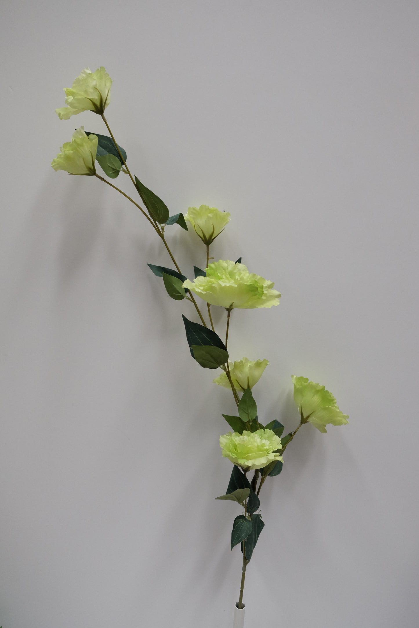 Lisianthus Stem (8 Colours)