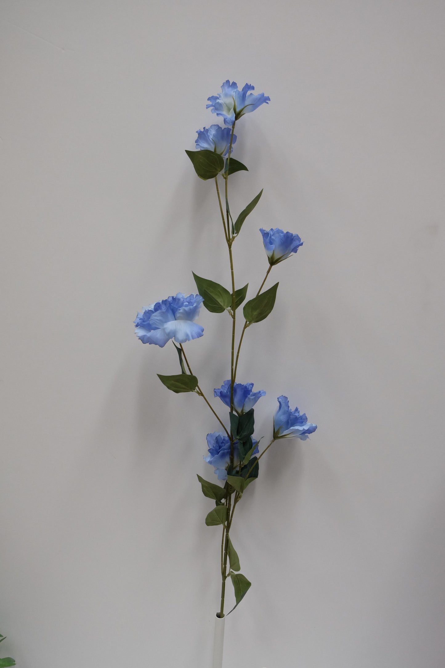 Lisianthus Stem (8 Colours)