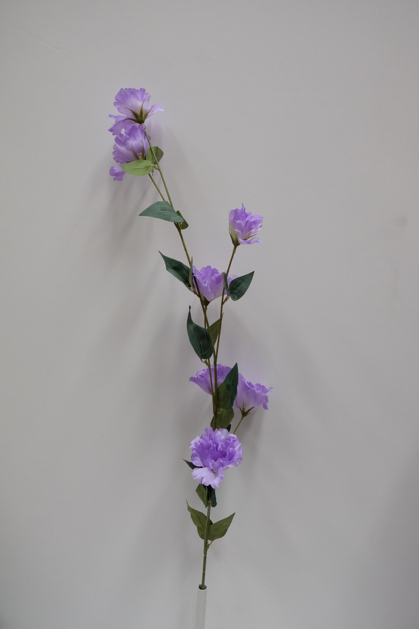 Lisianthus Stem (8 Colours)