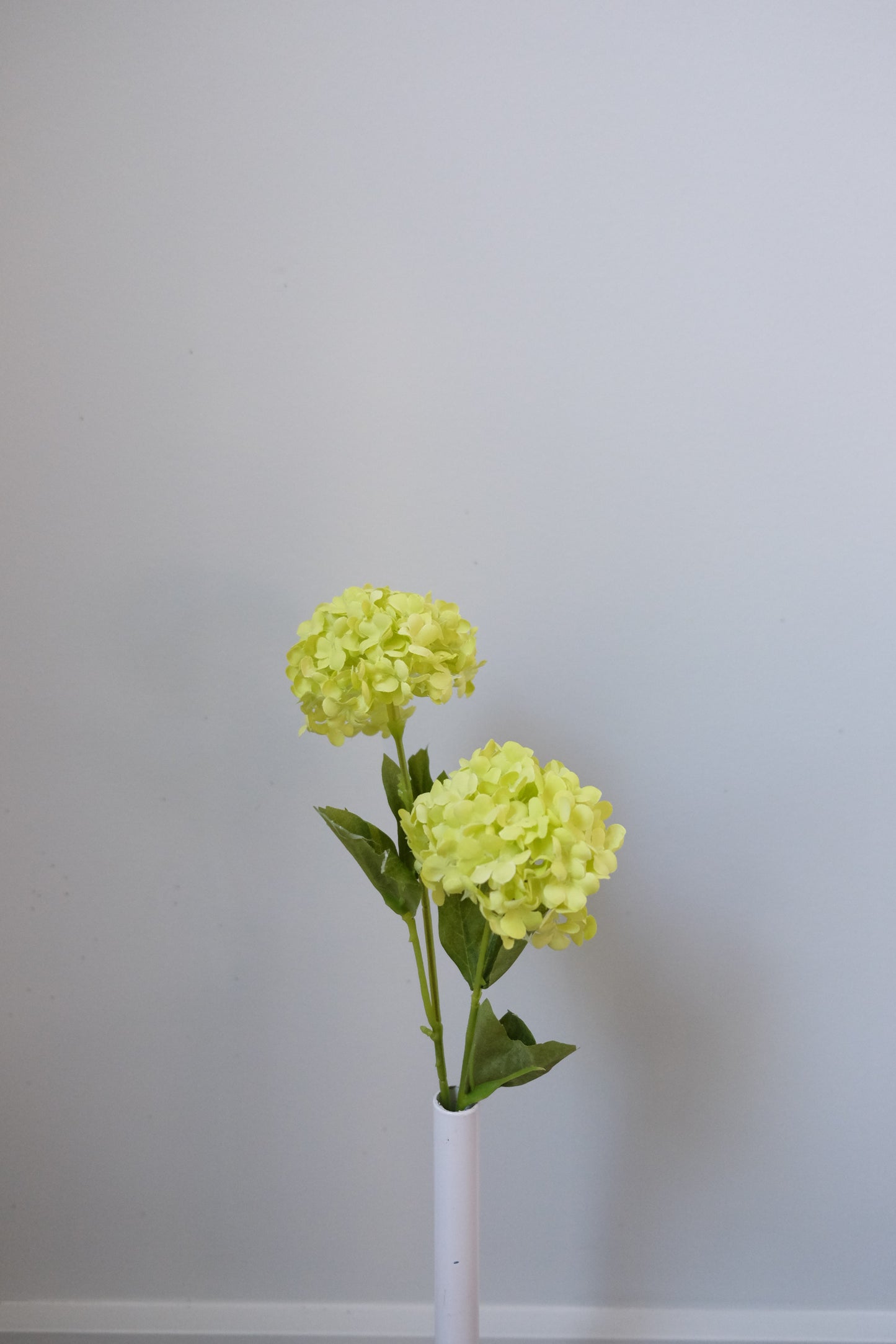 PomPom Hydrangea (4 Colours)