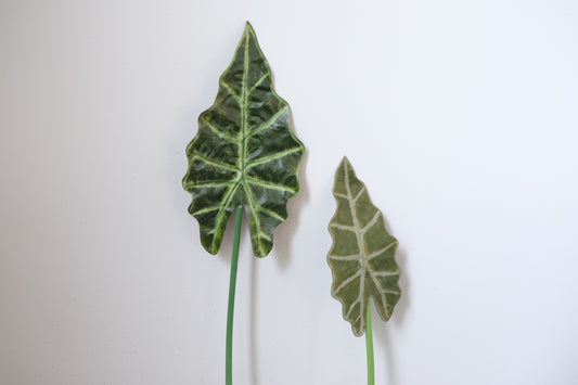 Alocasia Leaves Single Stem (2 sizes, 2 colours)