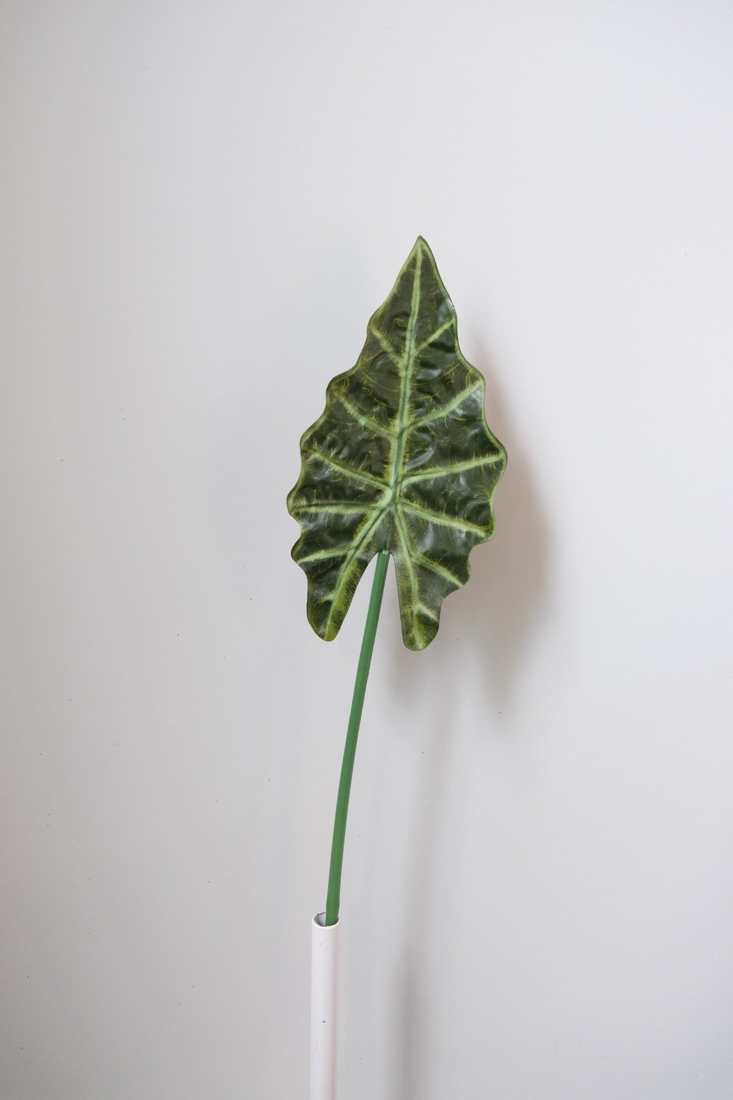 Alocasia Leaves Single Stem (2 sizes, 2 colours)