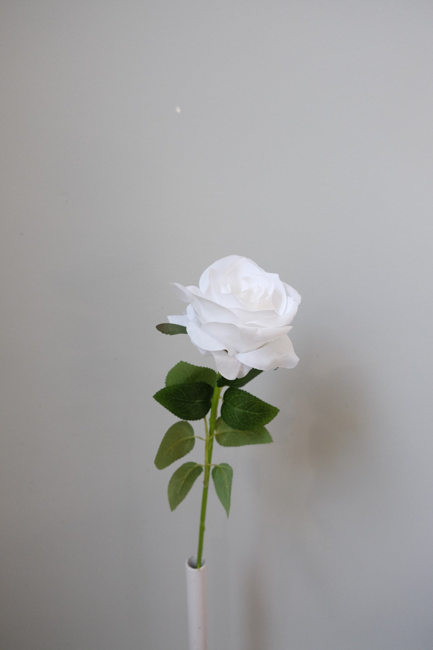 Silk Rose Single Stem (15 Colours)