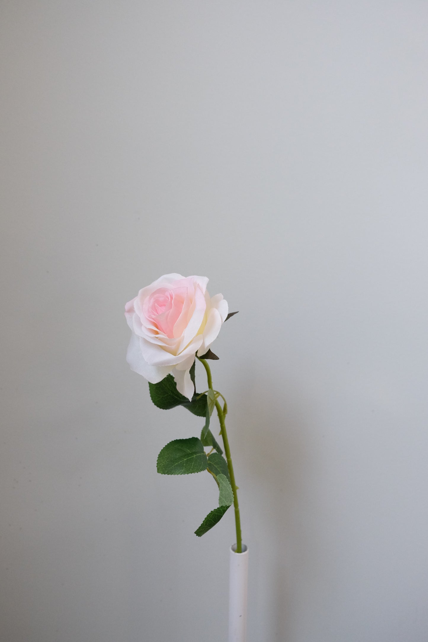 Silk Rose Single Stem (15 Colours)