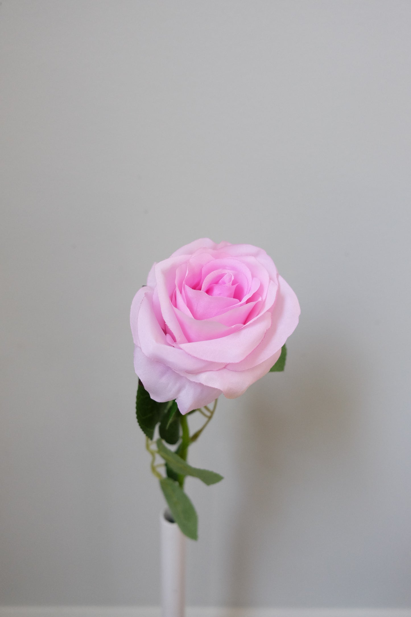 Silk Rose Single Stem (15 Colours)