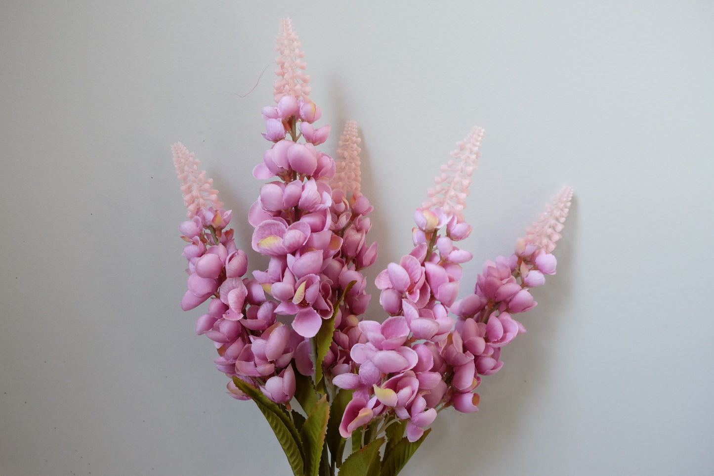 Lupine Bunch