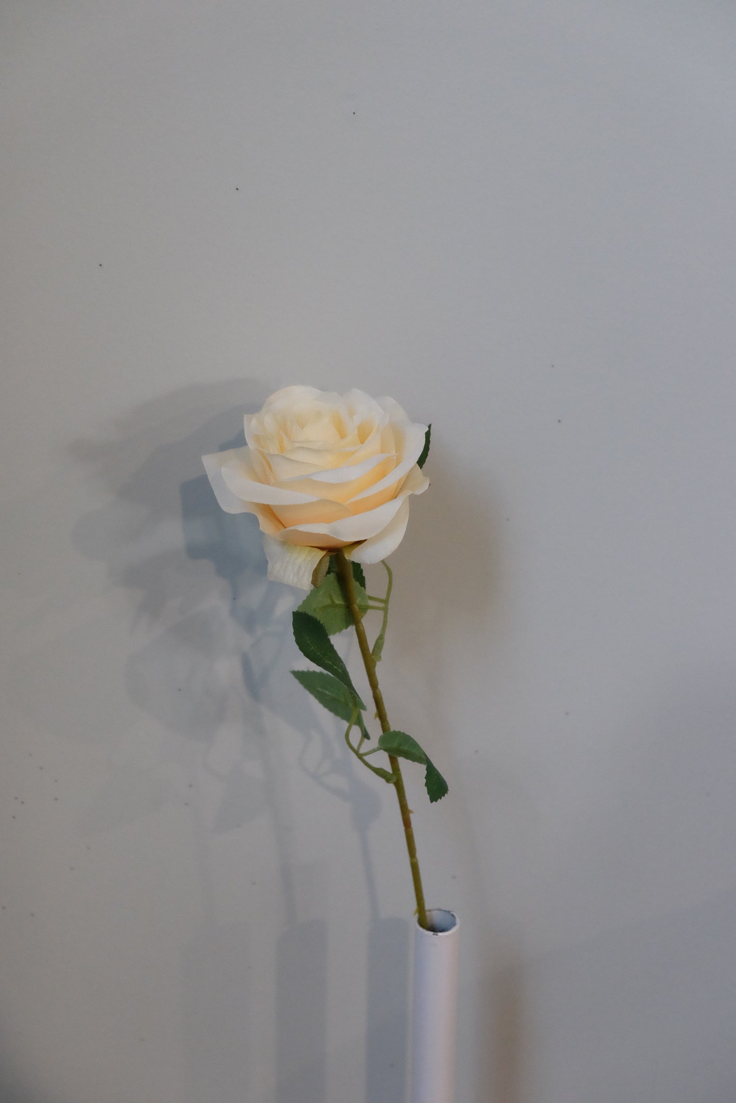 Silk Rose Single Stem (15 Colours)