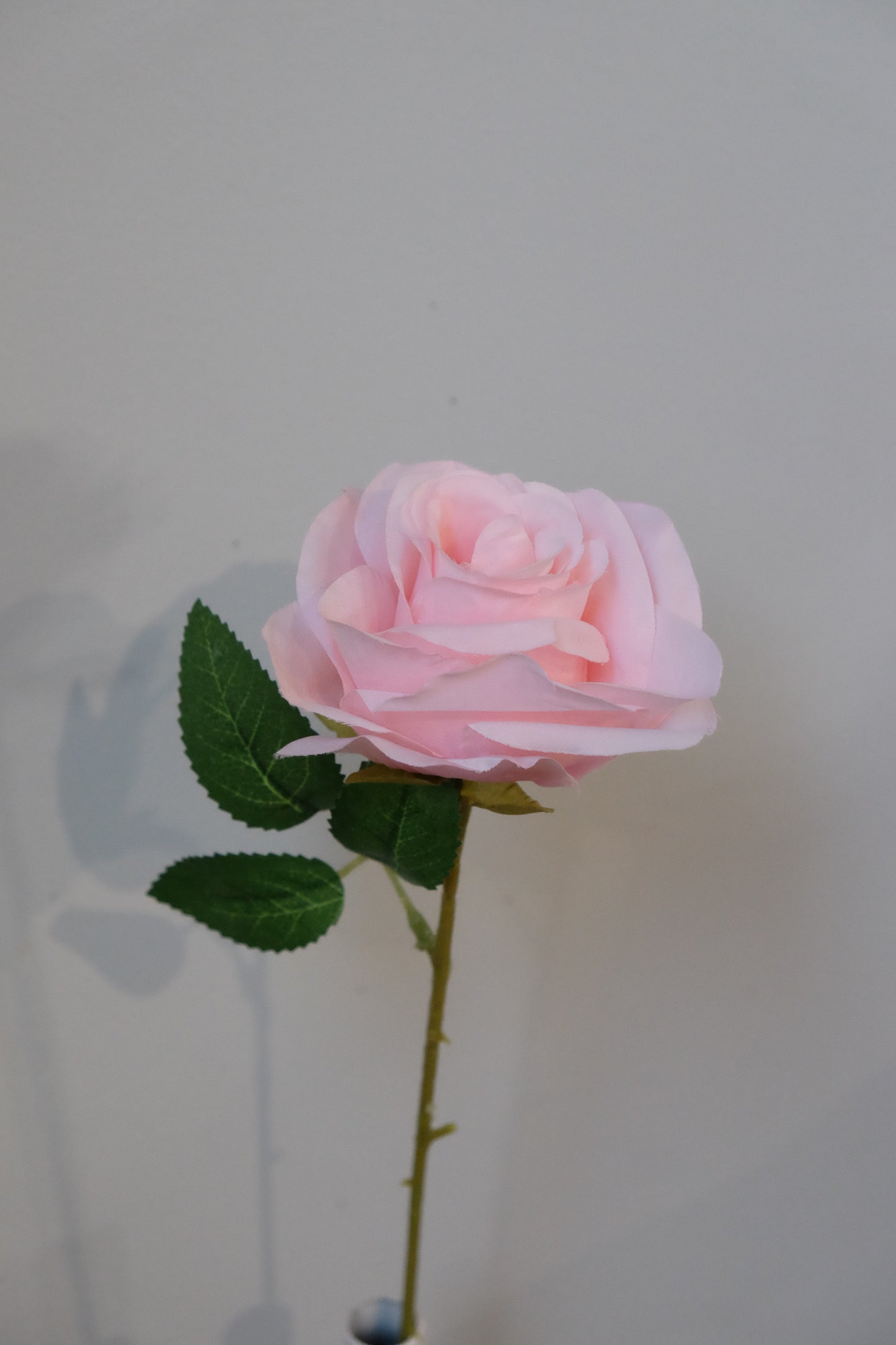 Silk Rose Single Stem (15 Colours)