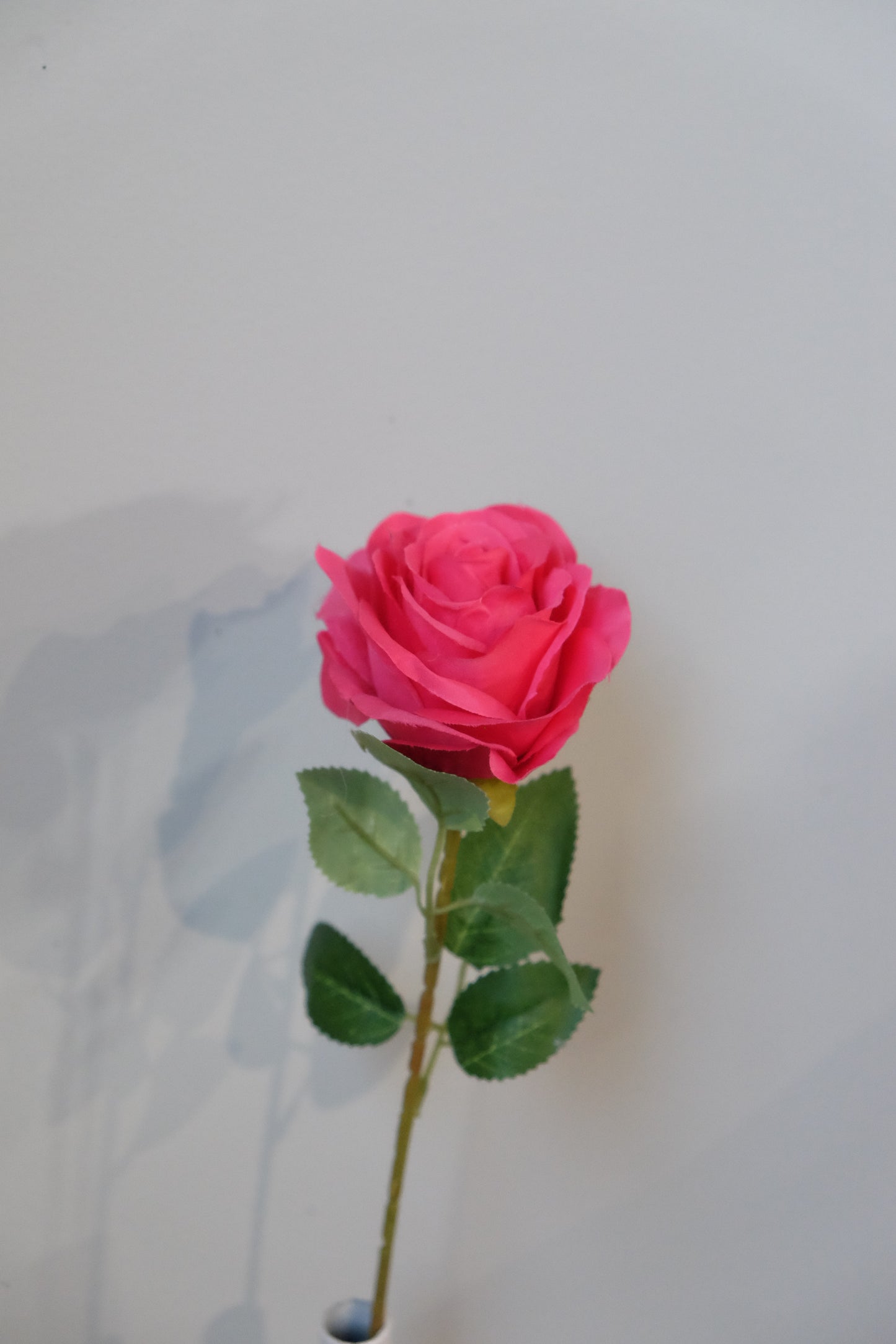 Silk Rose Single Stem (15 Colours)