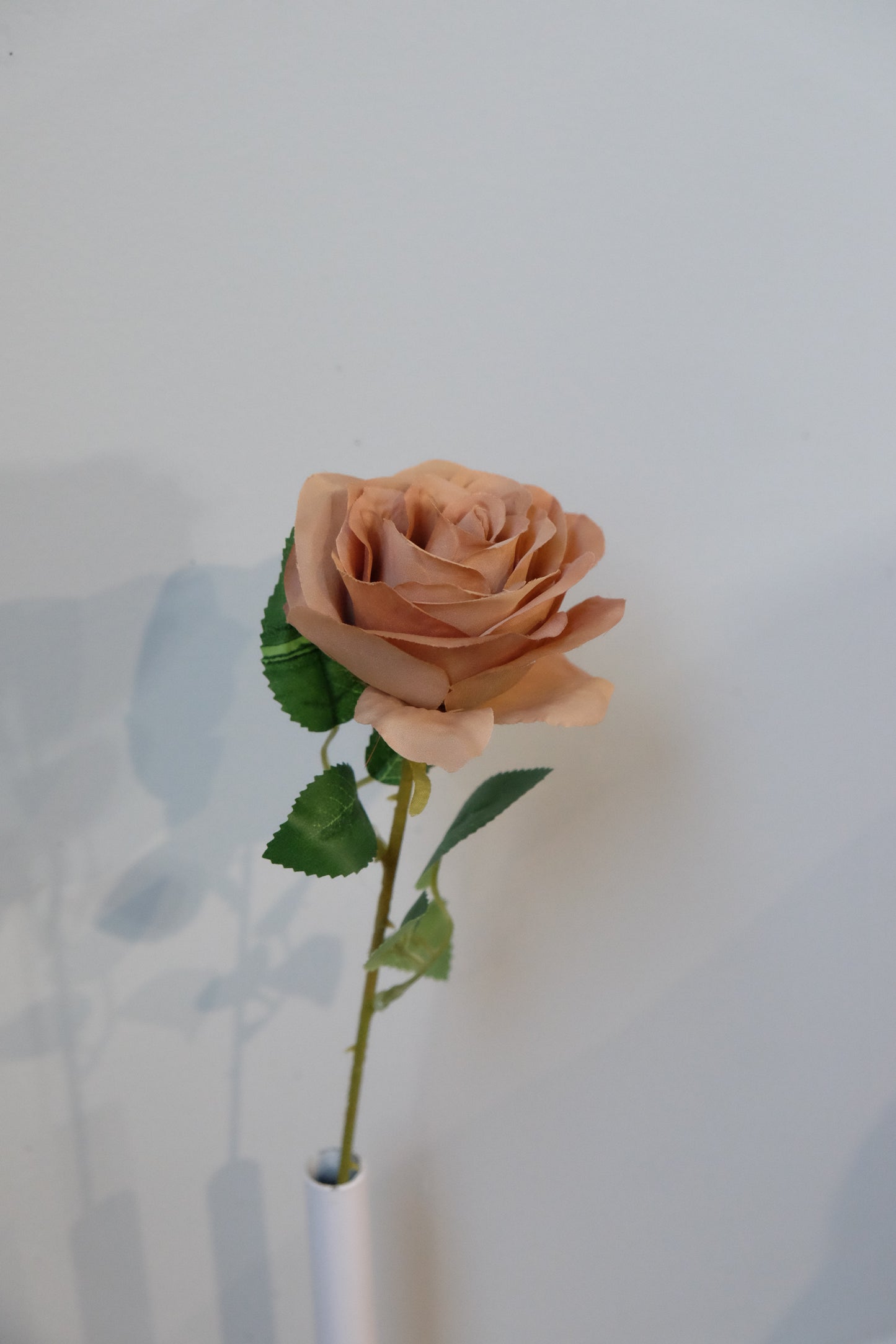 Silk Rose Single Stem (15 Colours)