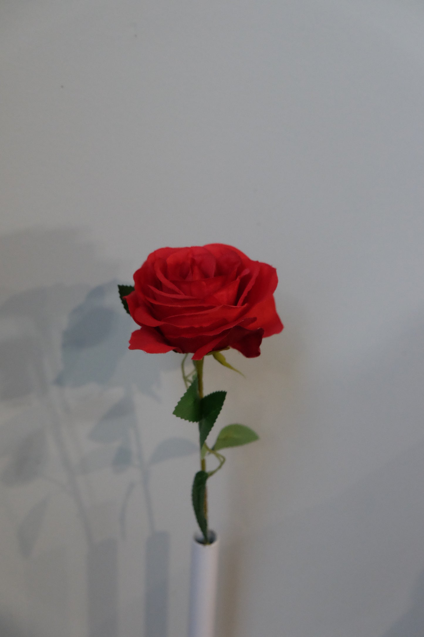 Silk Rose Single Stem (15 Colours)