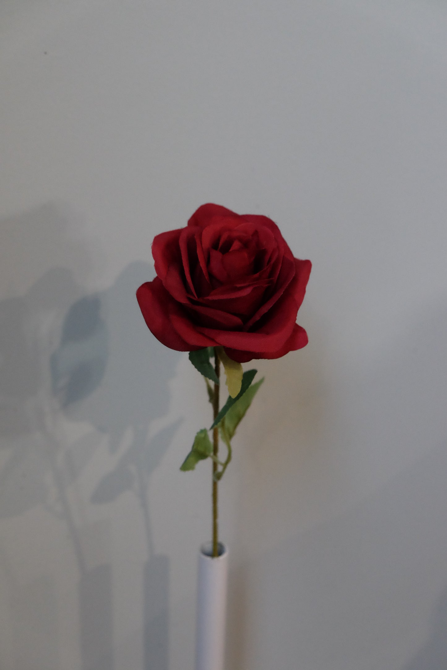 Silk Rose Single Stem (15 Colours)