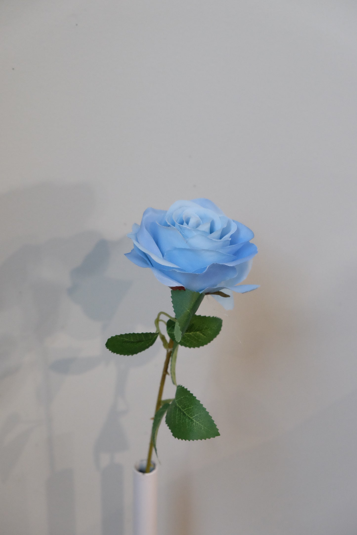 Silk Rose Single Stem (15 Colours)