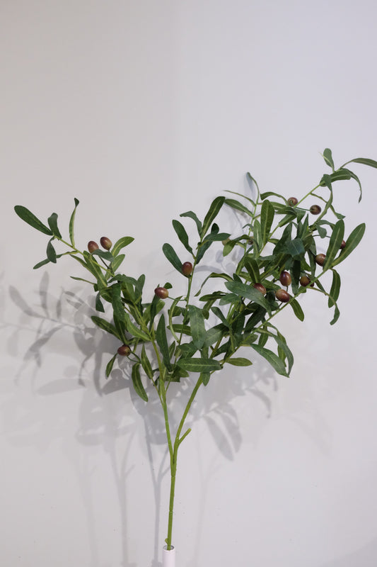 Olive Foliage