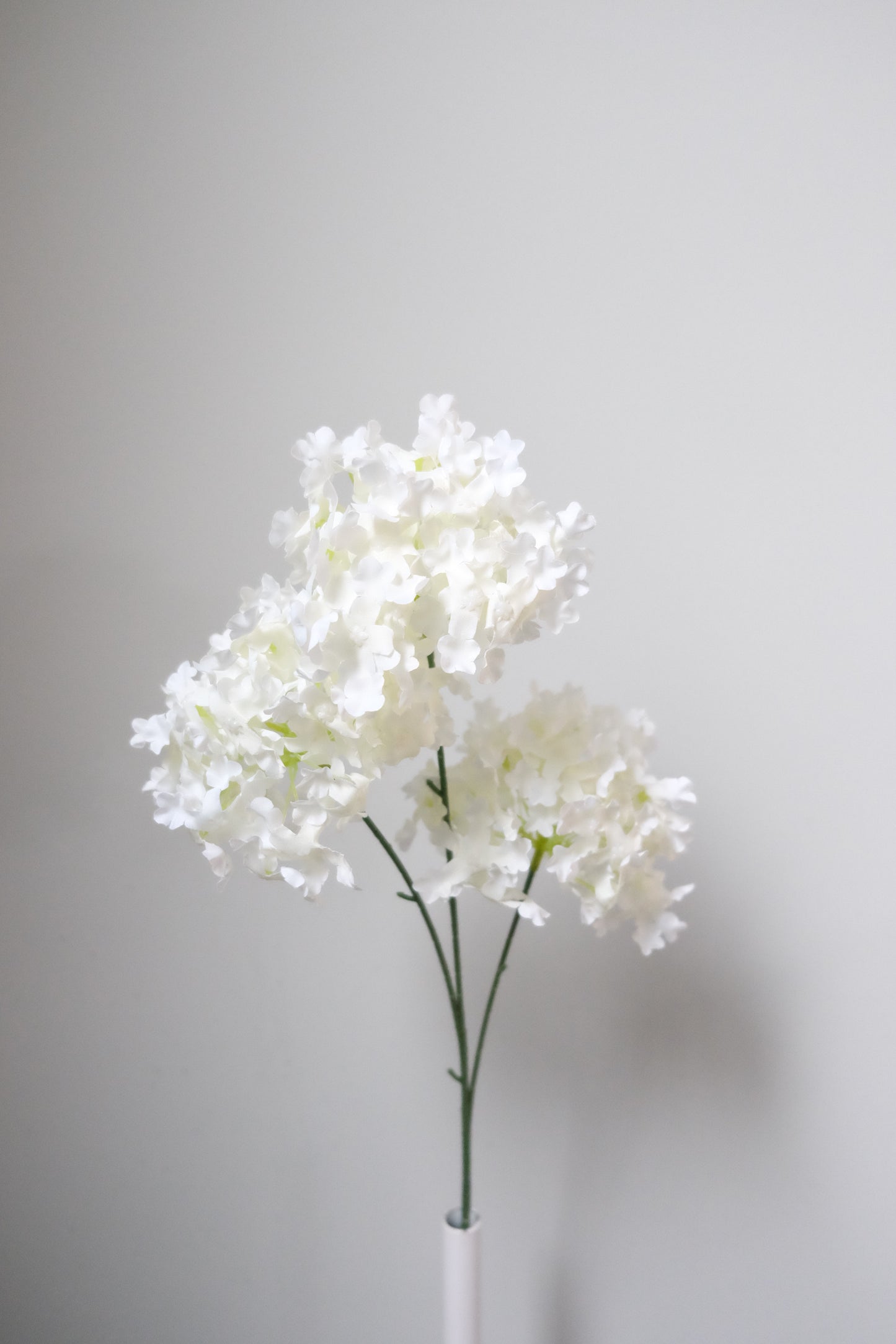 Snowflake PomPom Hydrangea (8 Colours)