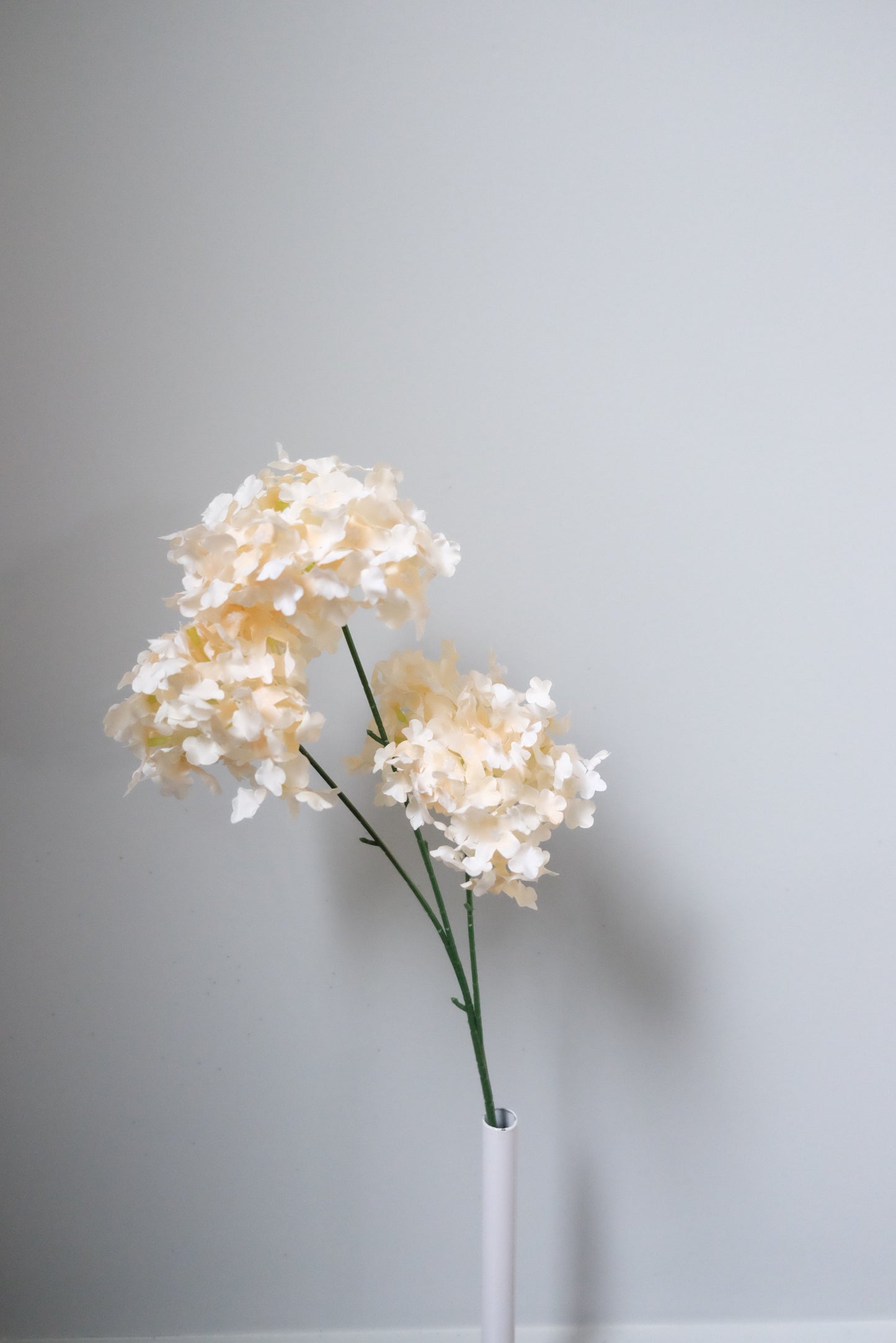 Snowflake PomPom Hydrangea (8 Colours)