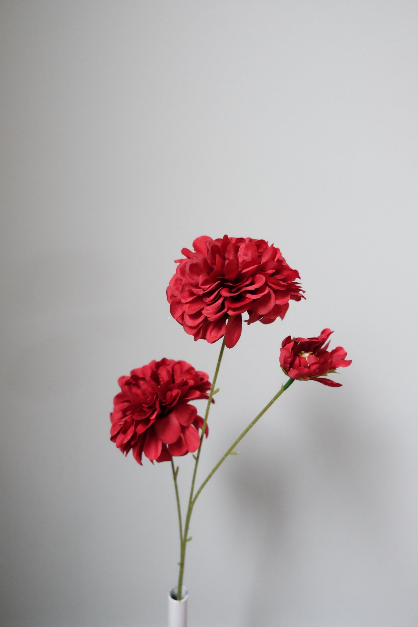 2H PomPom Dahlia + Small Bud (7 Colours)