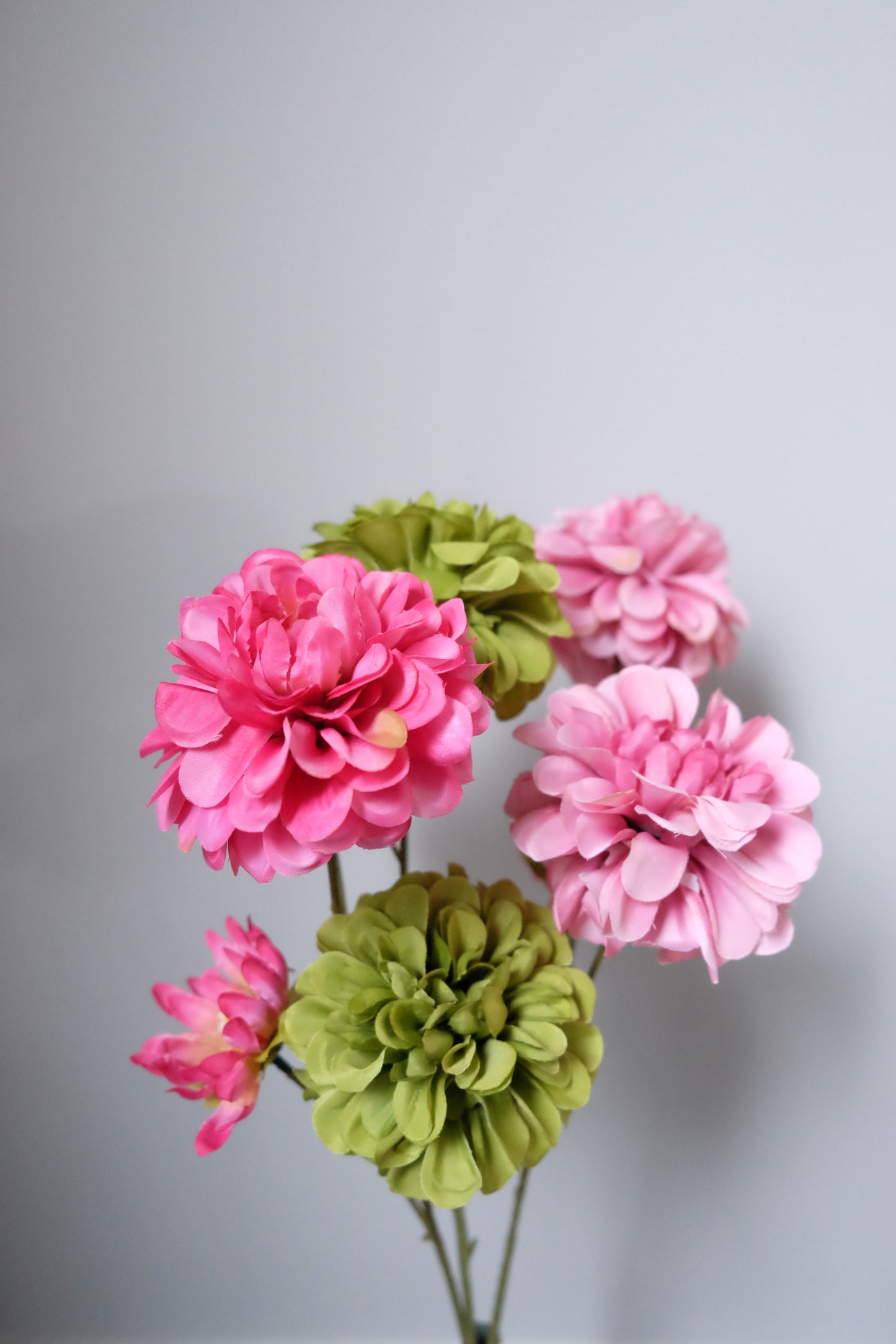 2H PomPom Dahlia + Small Bud (7 Colours)