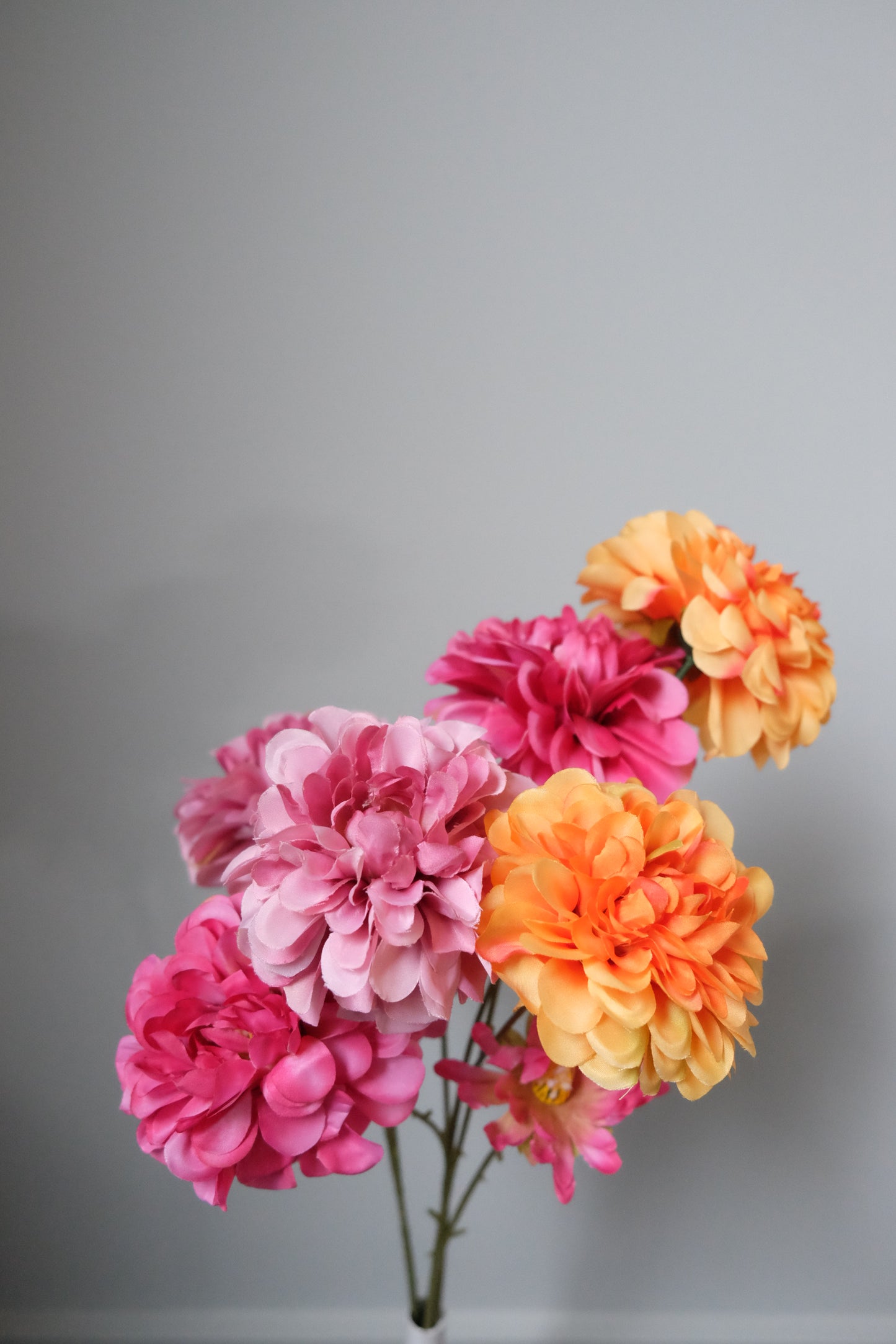 2H PomPom Dahlia + Small Bud (7 Colours)