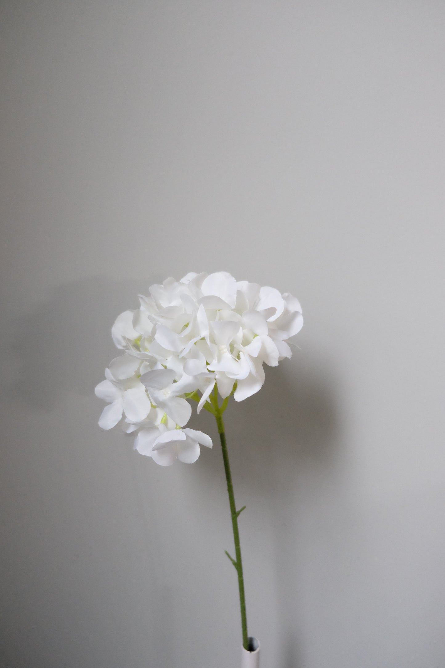 Hydrangea Stem (7 Colours)