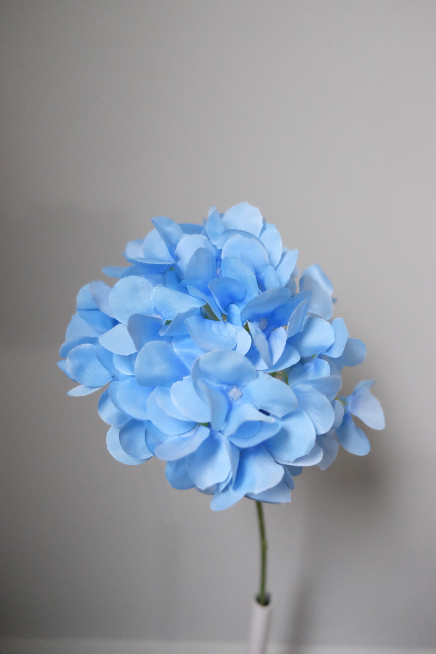 Hydrangea Stem (7 Colours)