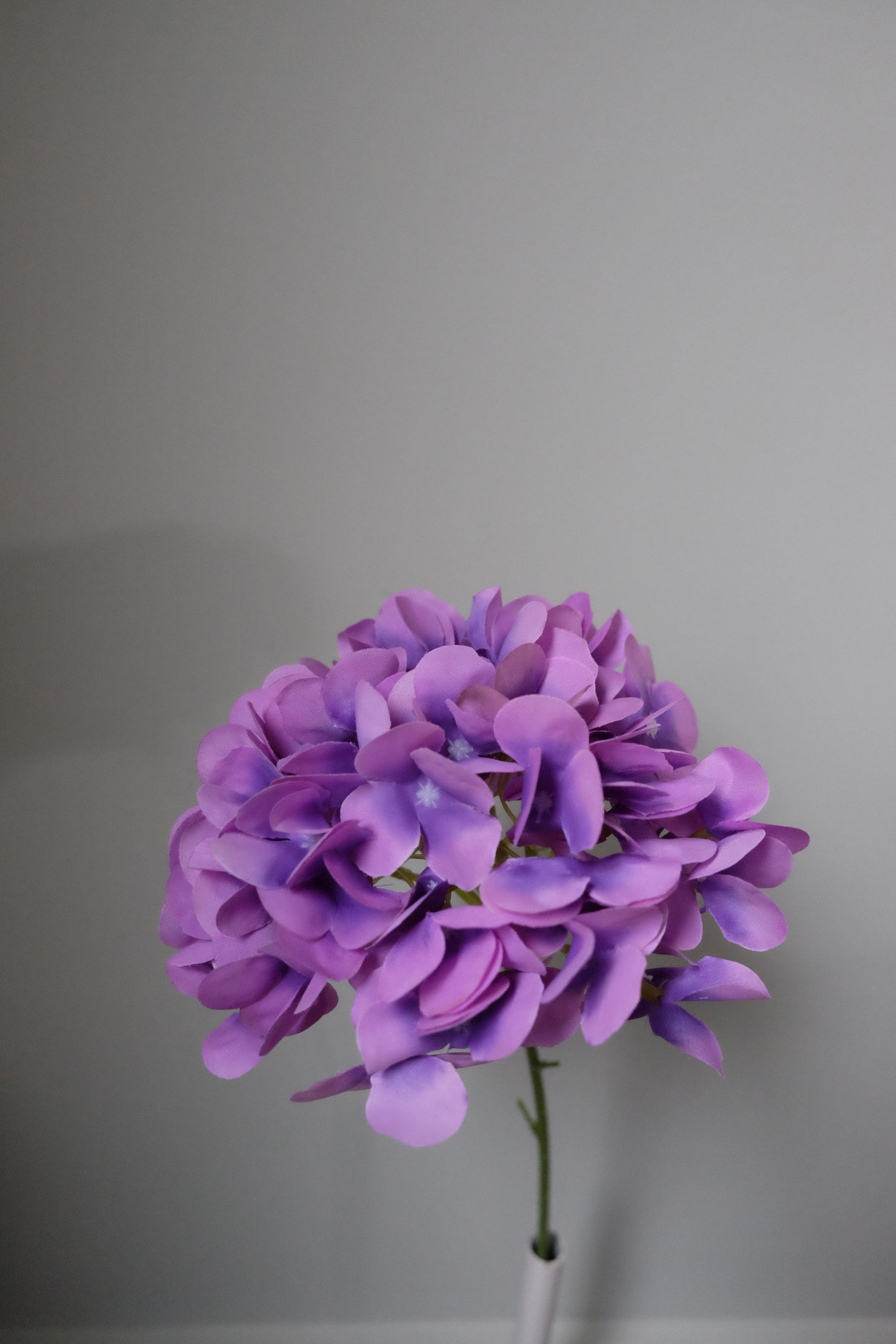 Hydrangea Stem (7 Colours)