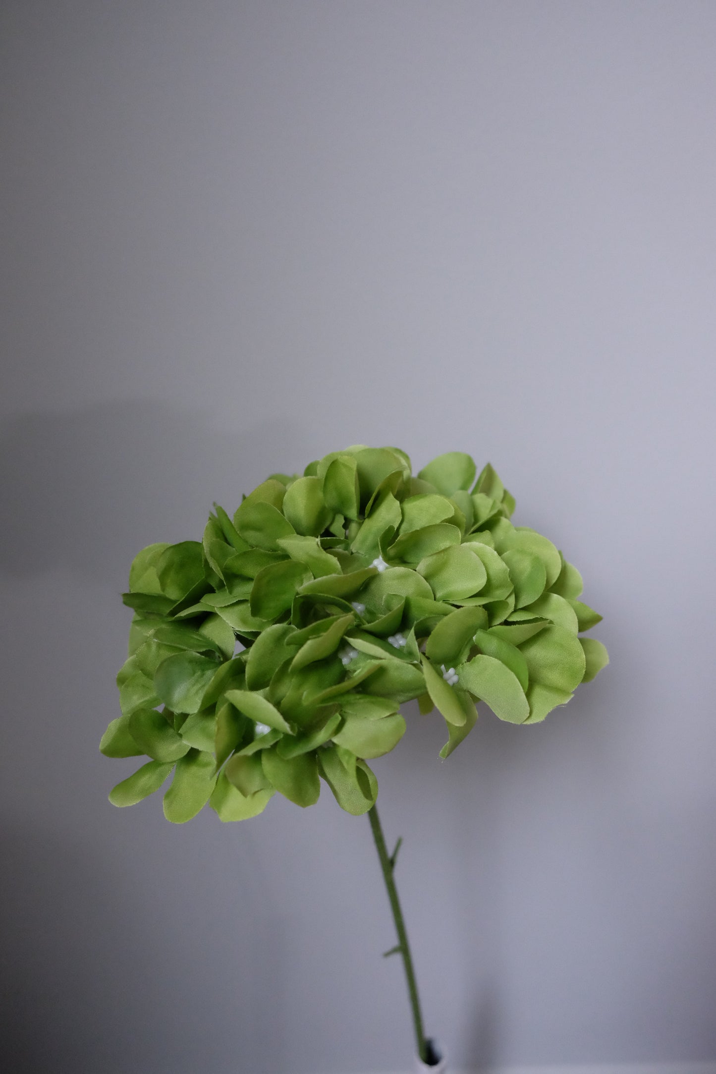 Hydrangea Stem (7 Colours)