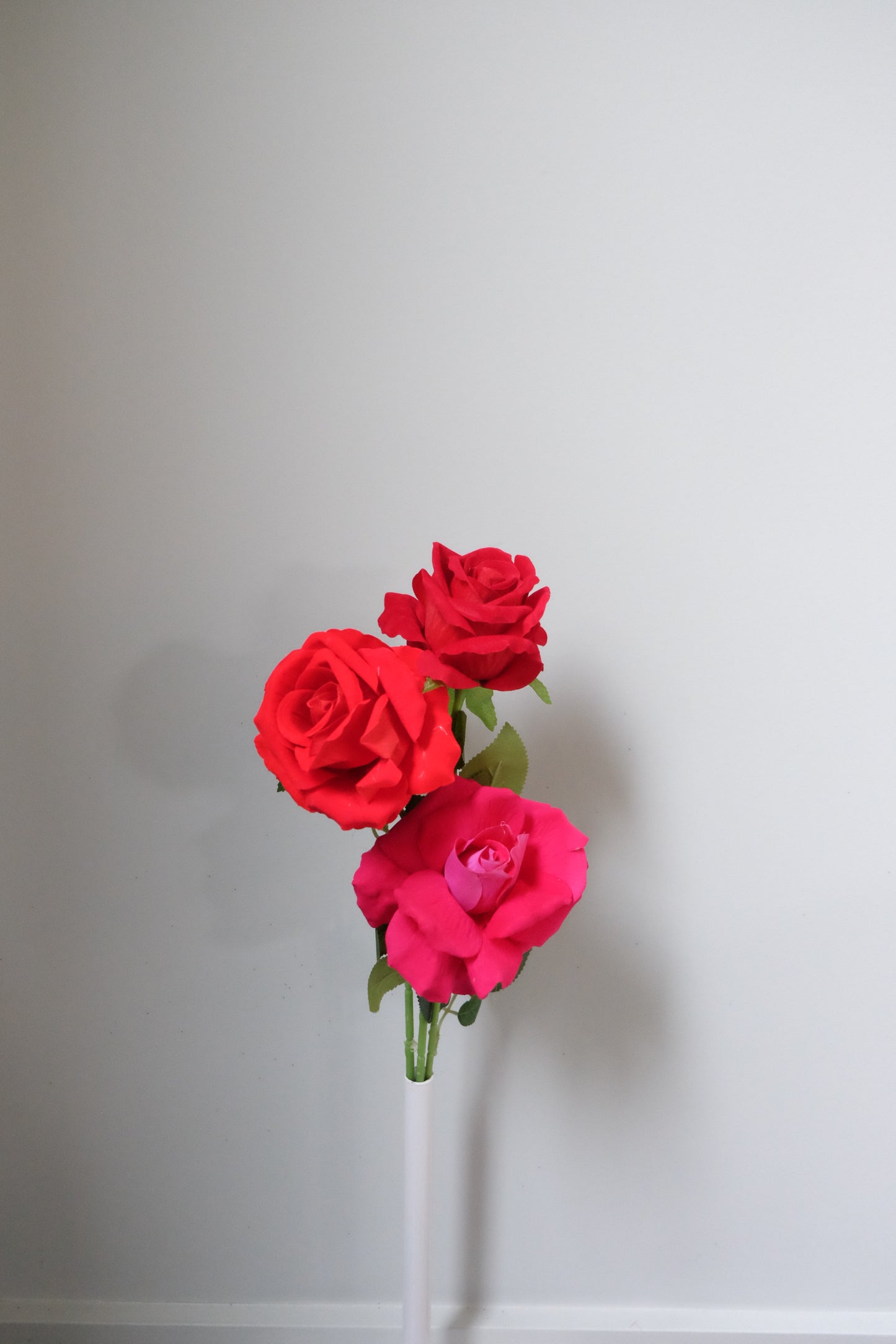 Single Velvet Rose (7 Colours)