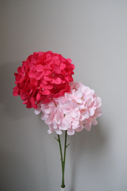 Lollipop Hydrangea (8 Colours)