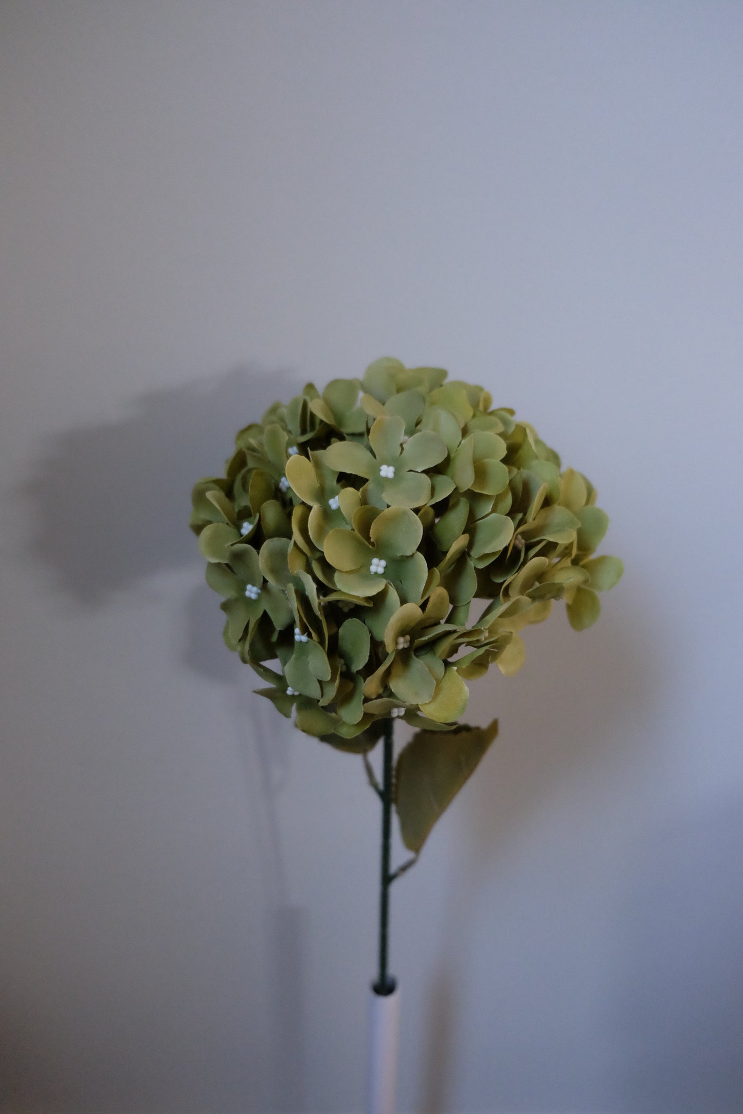 Premium Single Stem Hydrangea