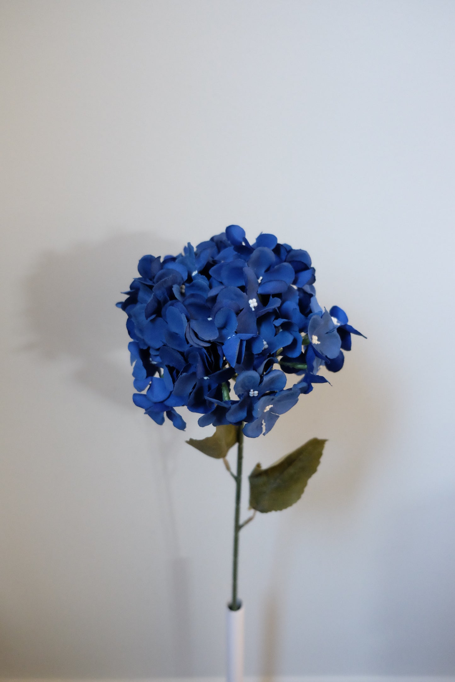 Premium Single Stem Hydrangea