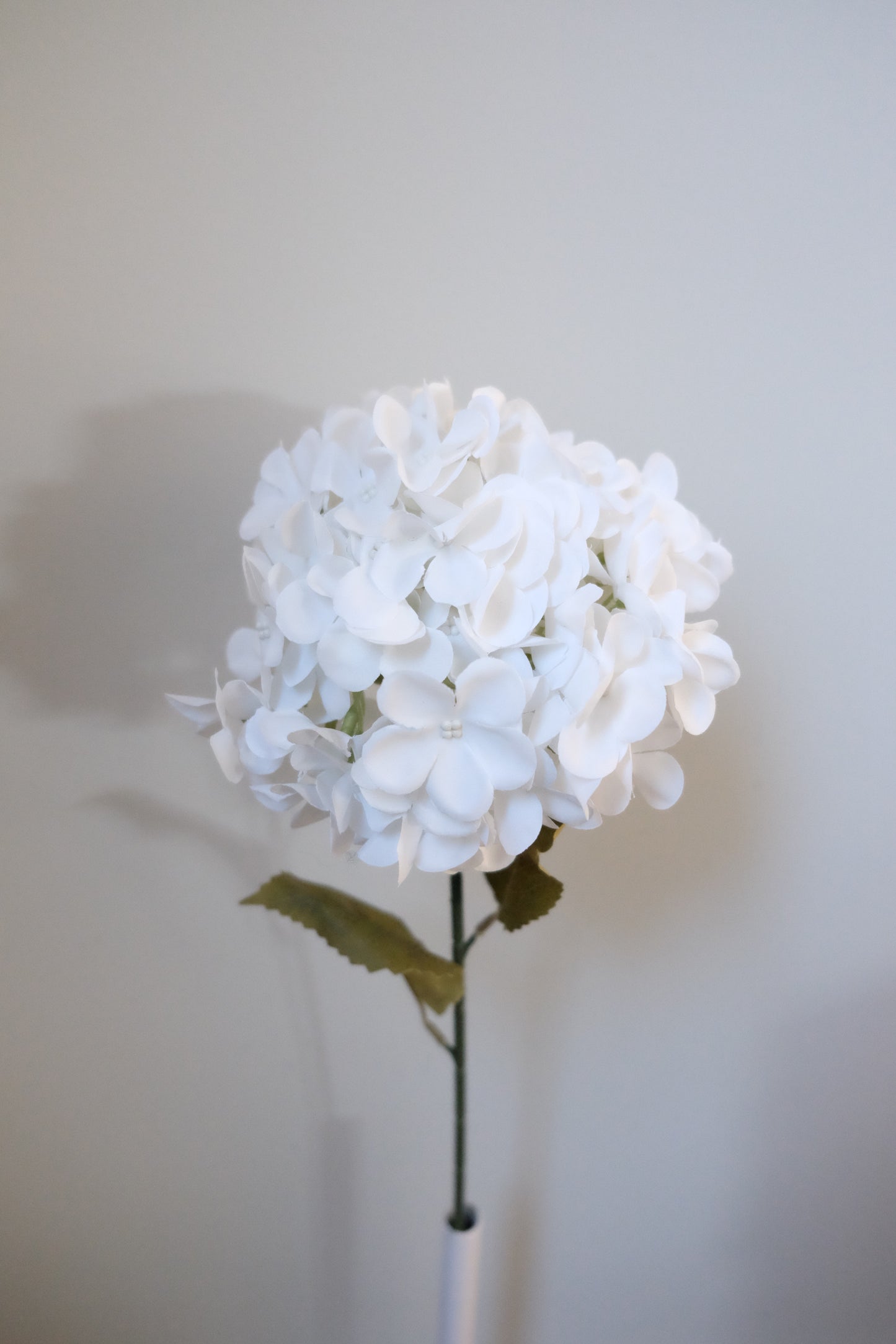 Premium Single Stem Hydrangea