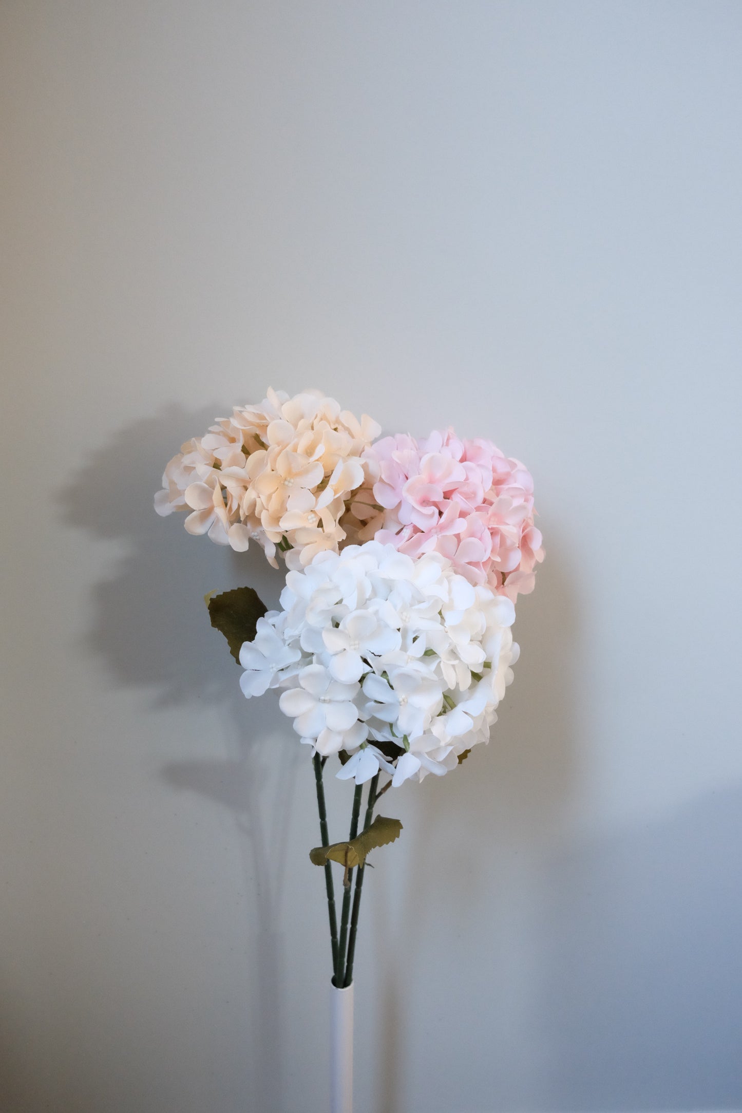 Premium Single Stem Hydrangea