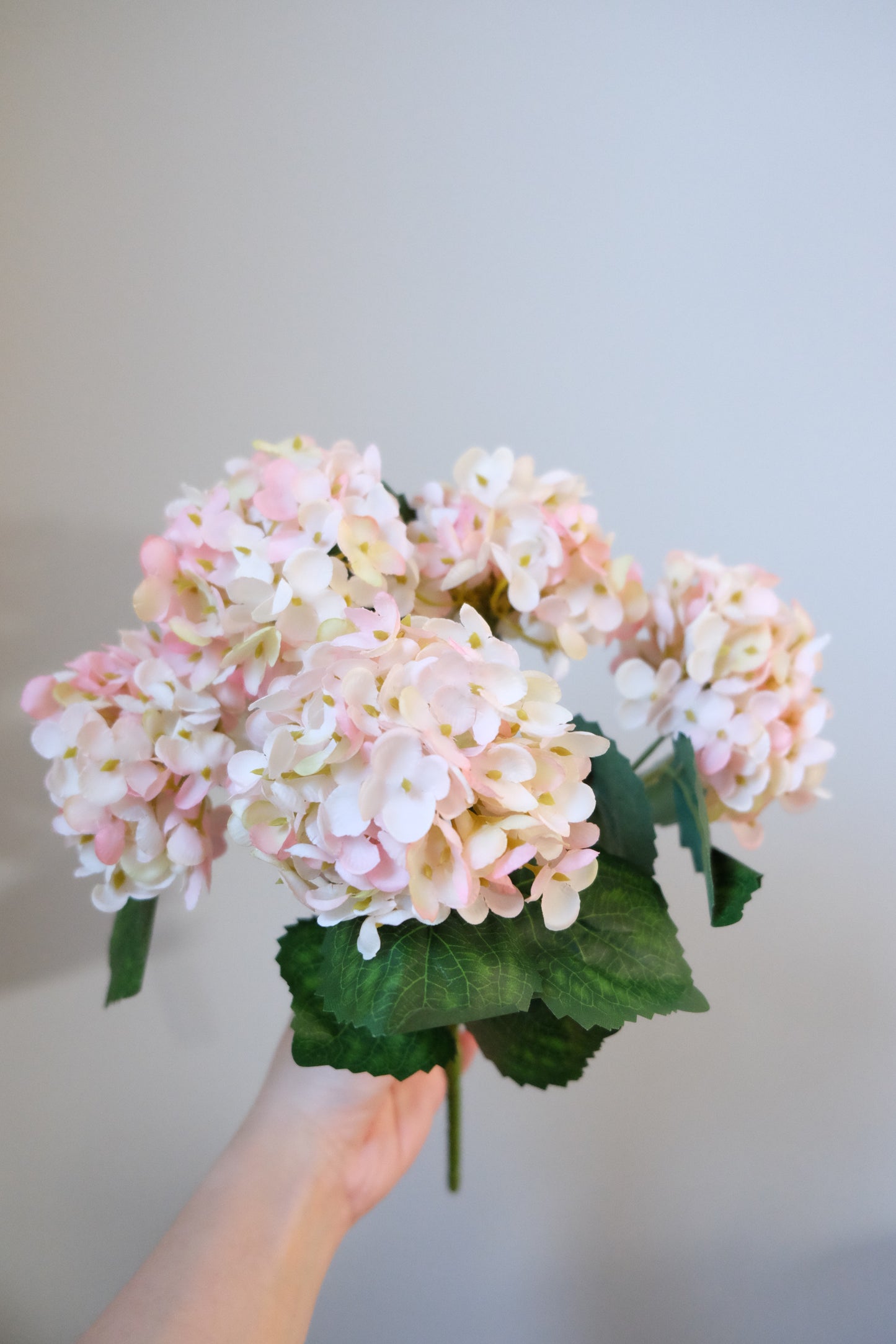 5H Hydrangea Snowball Bunch (Premium Petals)