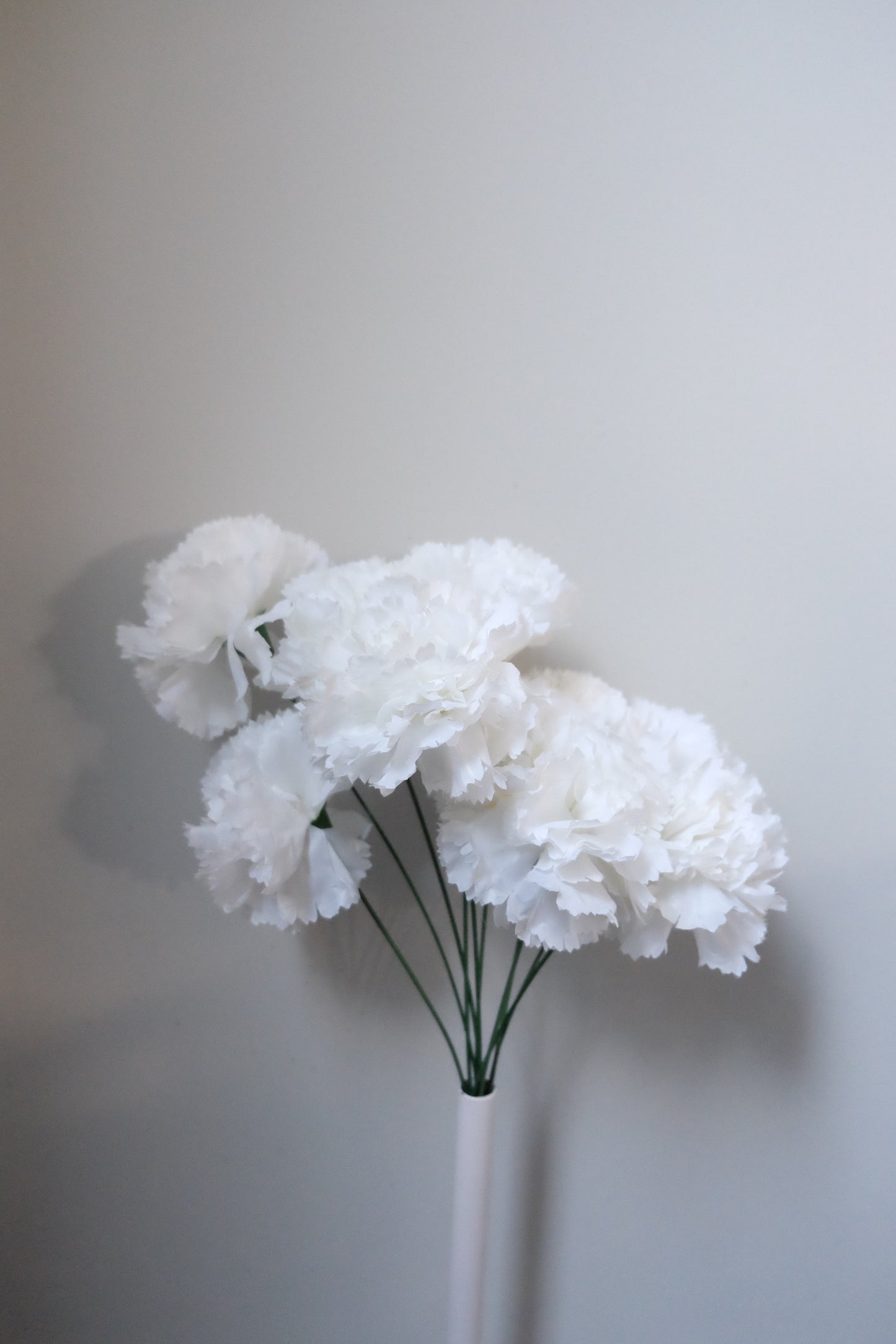 10H Carnation Bunch (5 Colours)