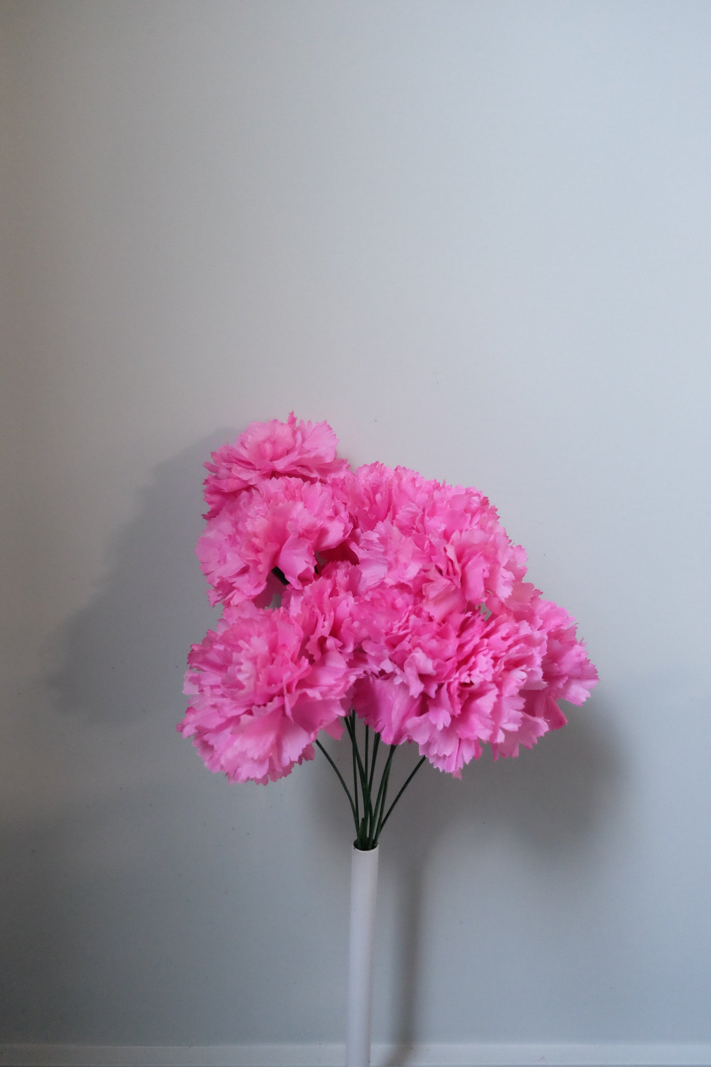 10H Carnation Bunch (5 Colours)