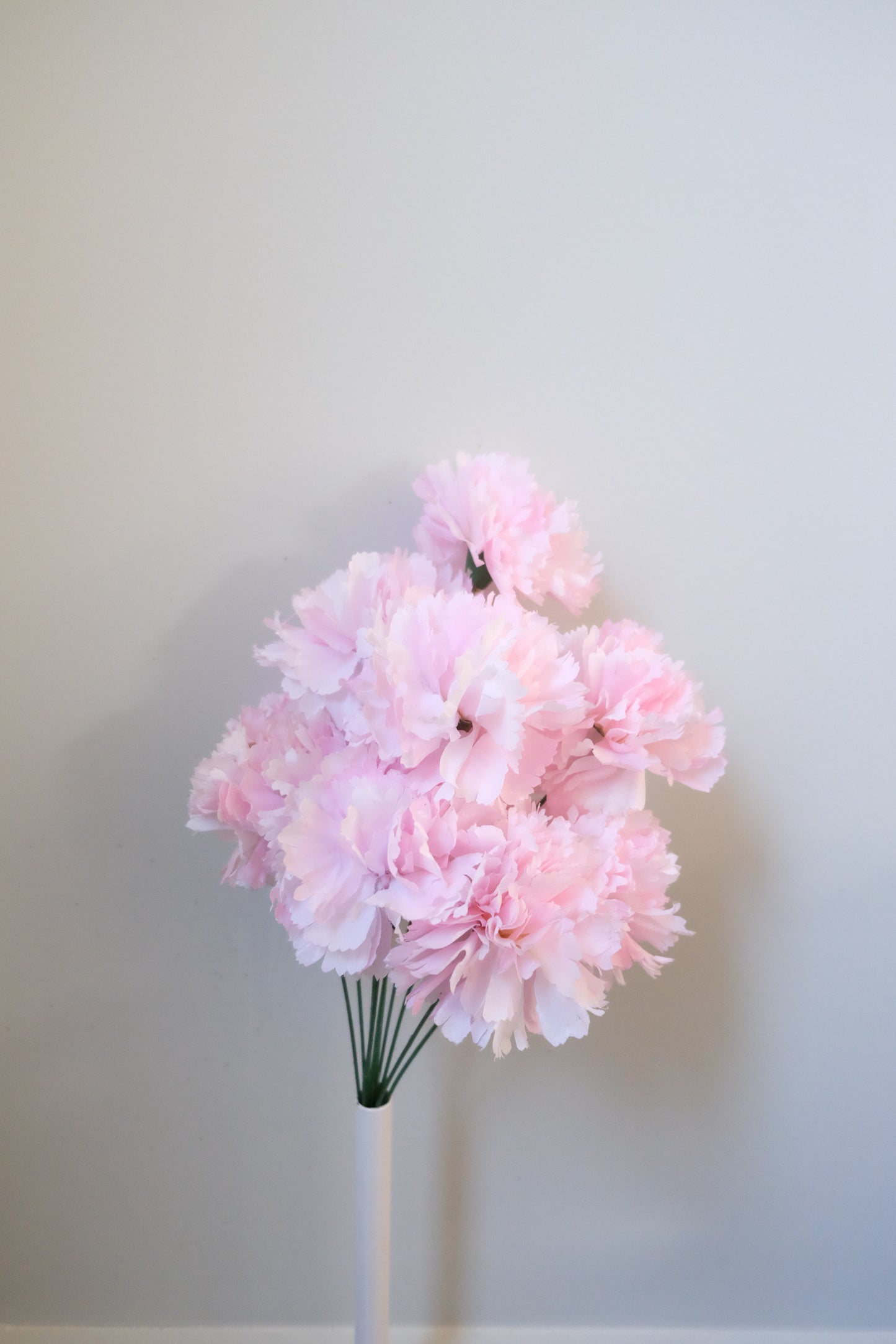 10H Carnation Bunch (5 Colours)