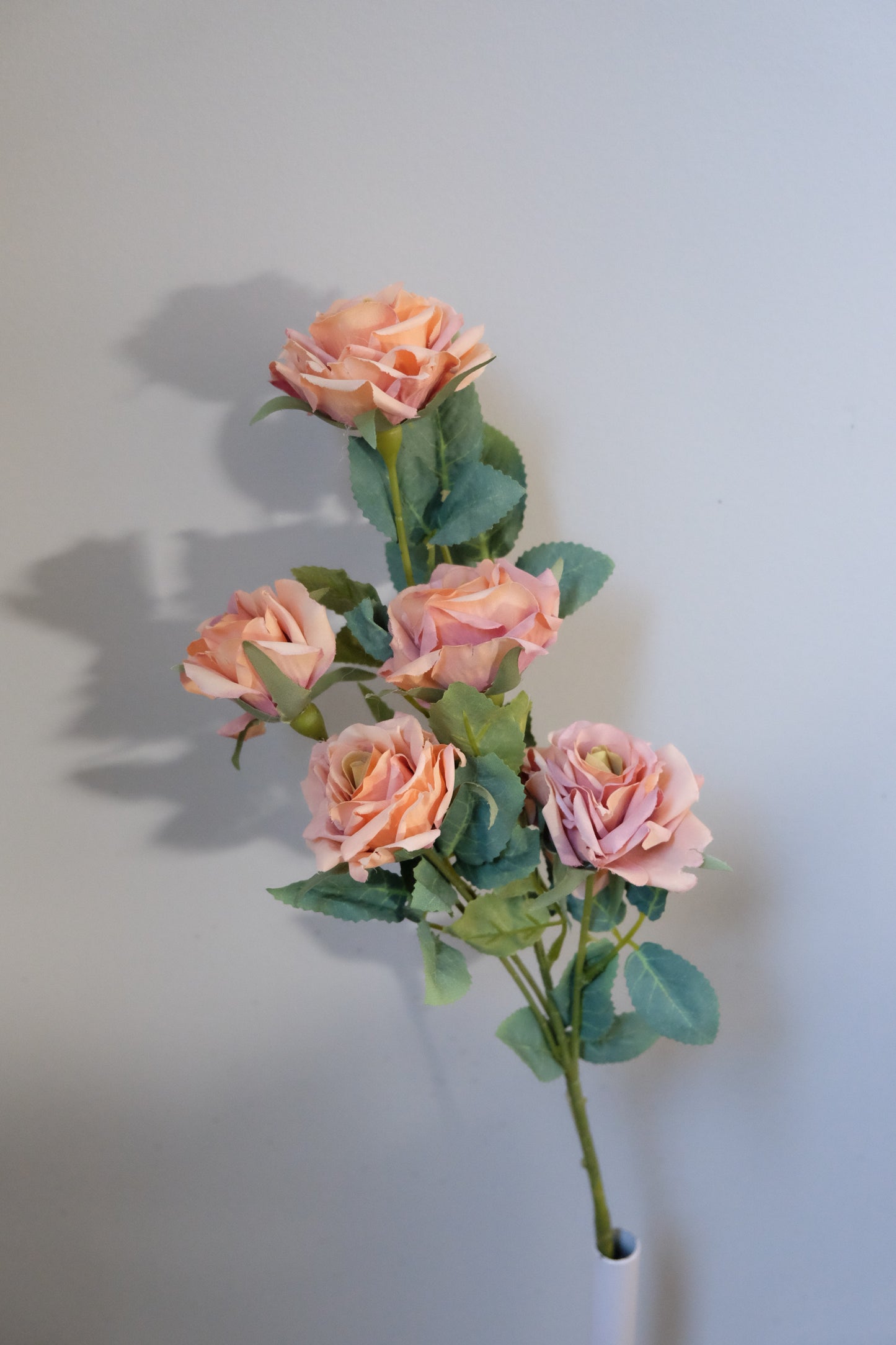 5H Baby Roses Spray