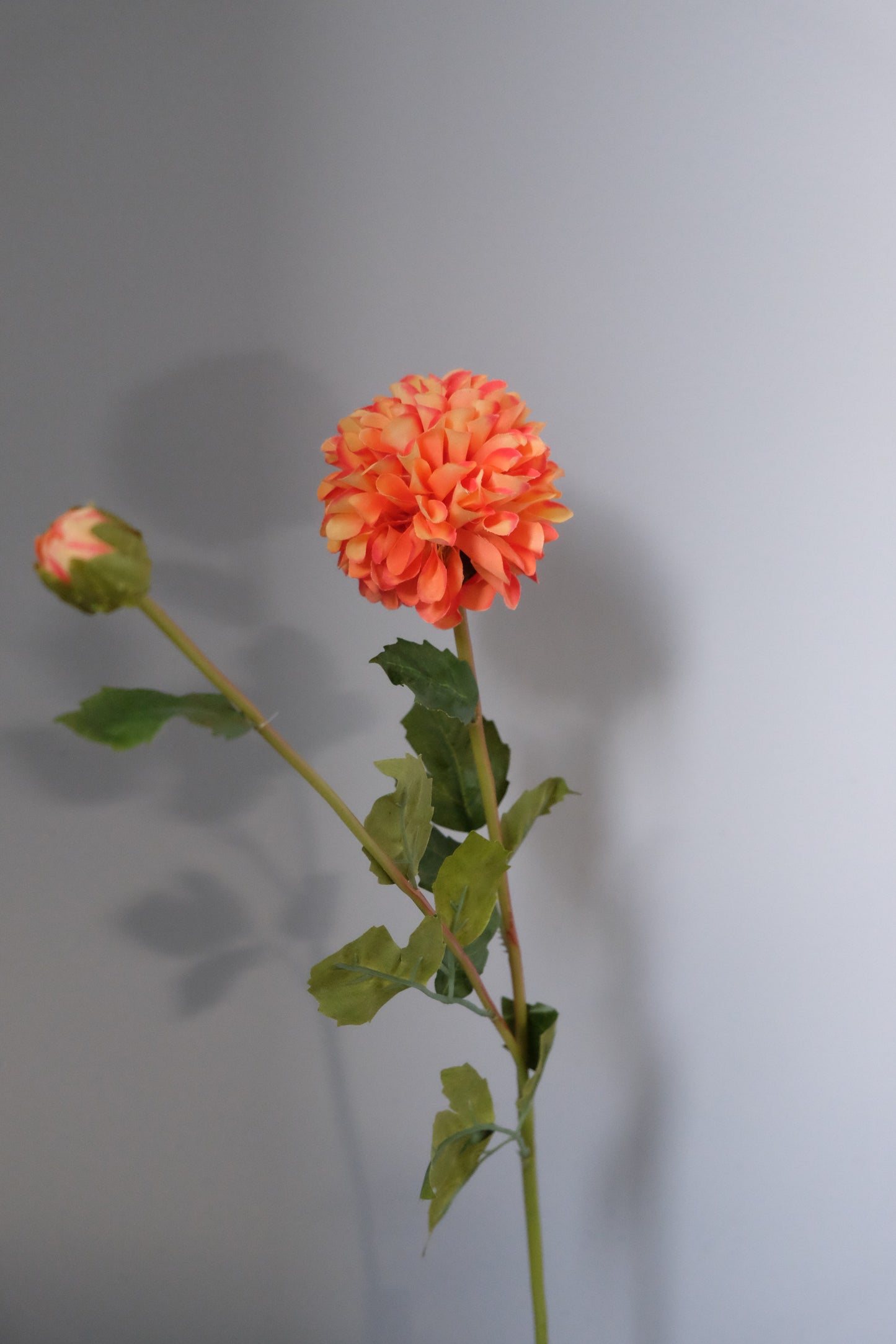 Real Look Dahlia Ball (Premium Quality)