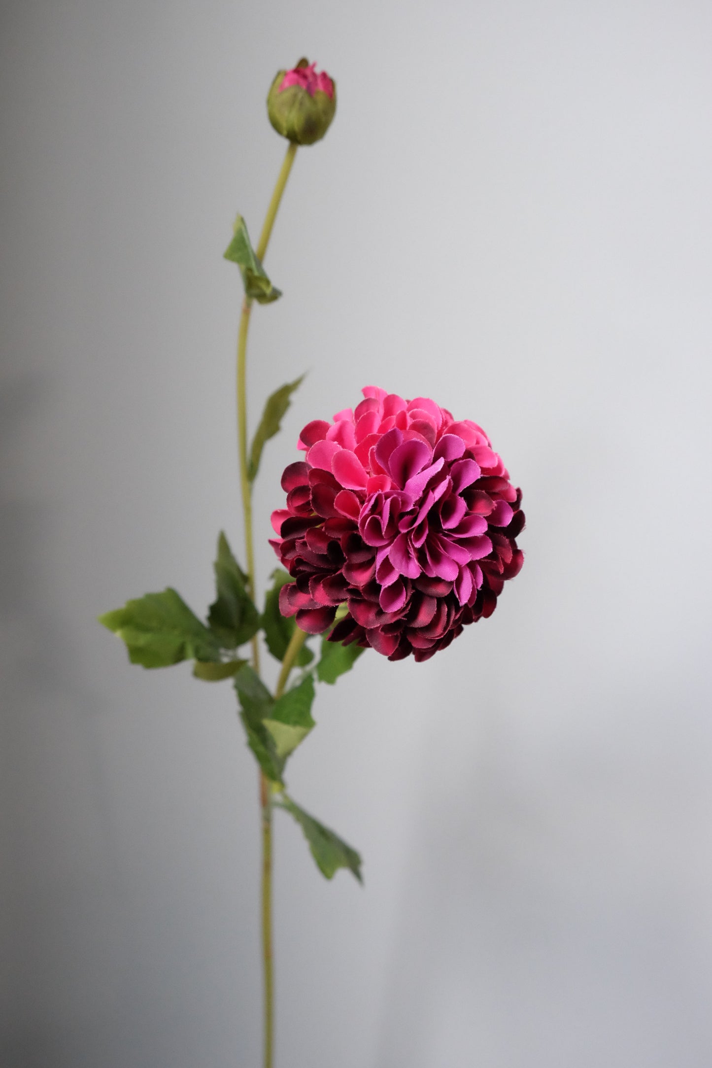 Real Look Dahlia Ball (Premium Quality)